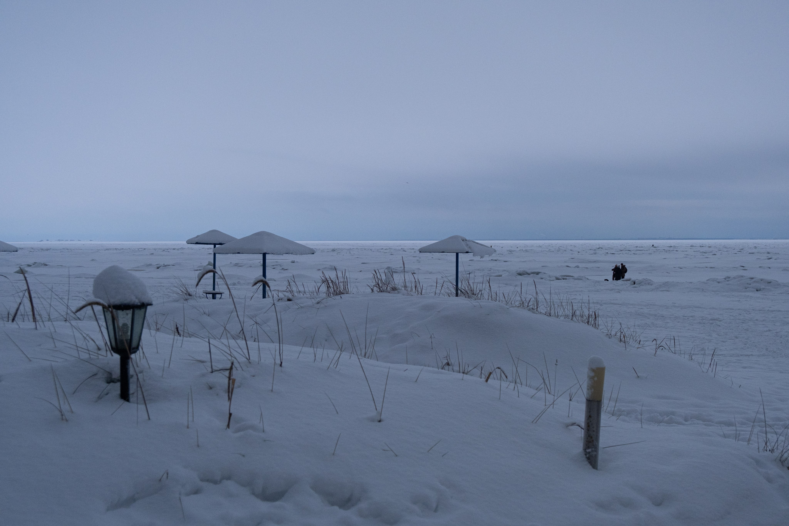 Комарово. Портретный и архитектурный фотограф в Москве и Санкт-Петербурге