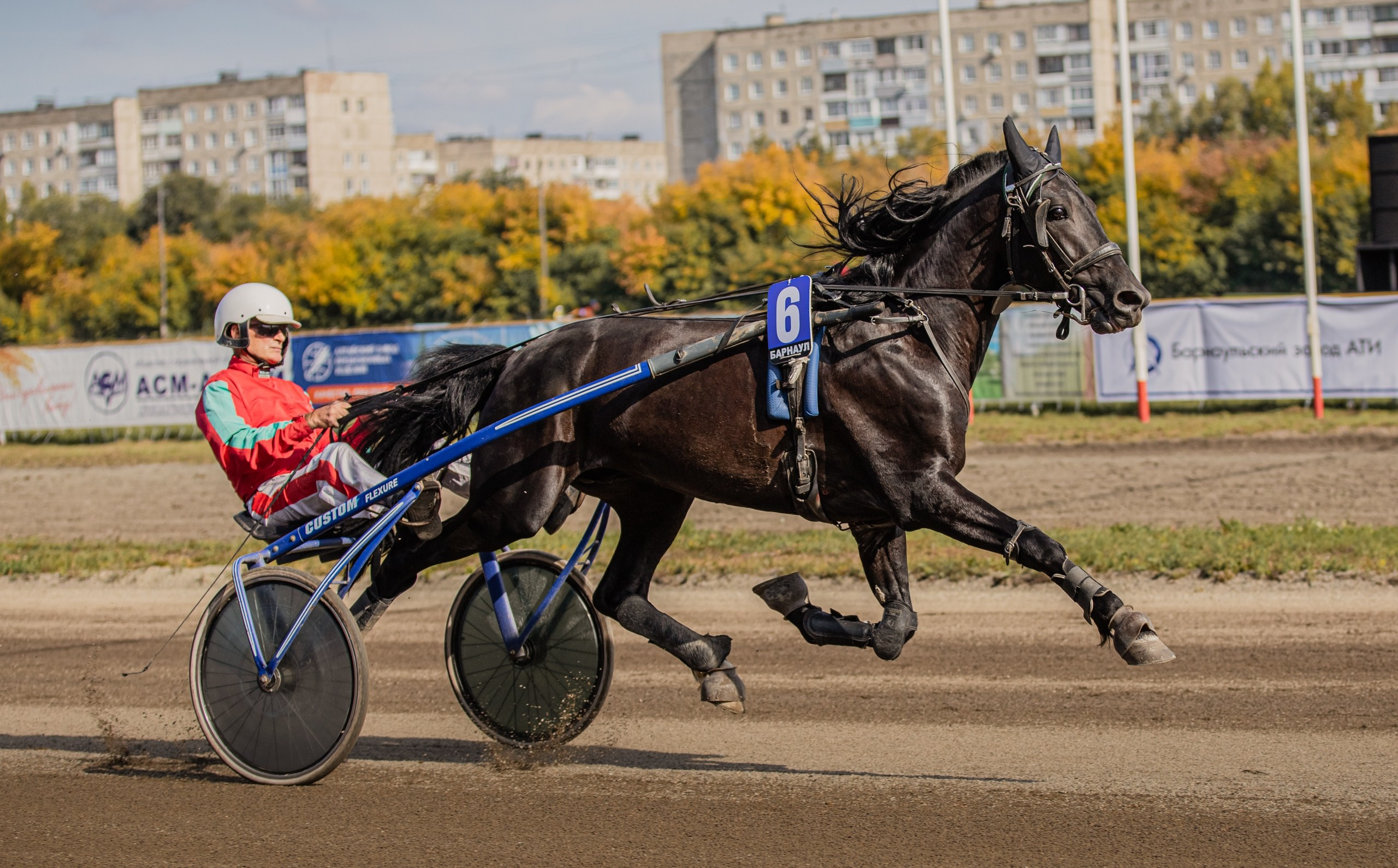 Рысистые бега. Главная