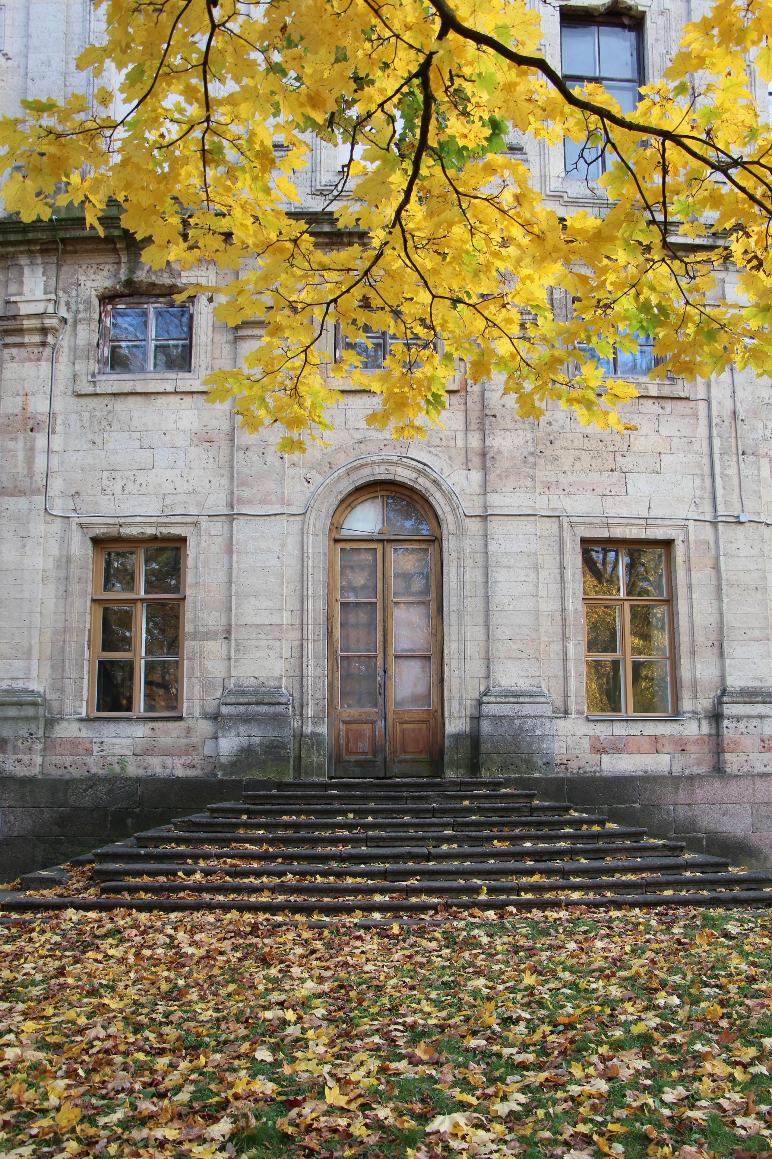 Пазлы. Фотохудожник Татьяна Бойцова