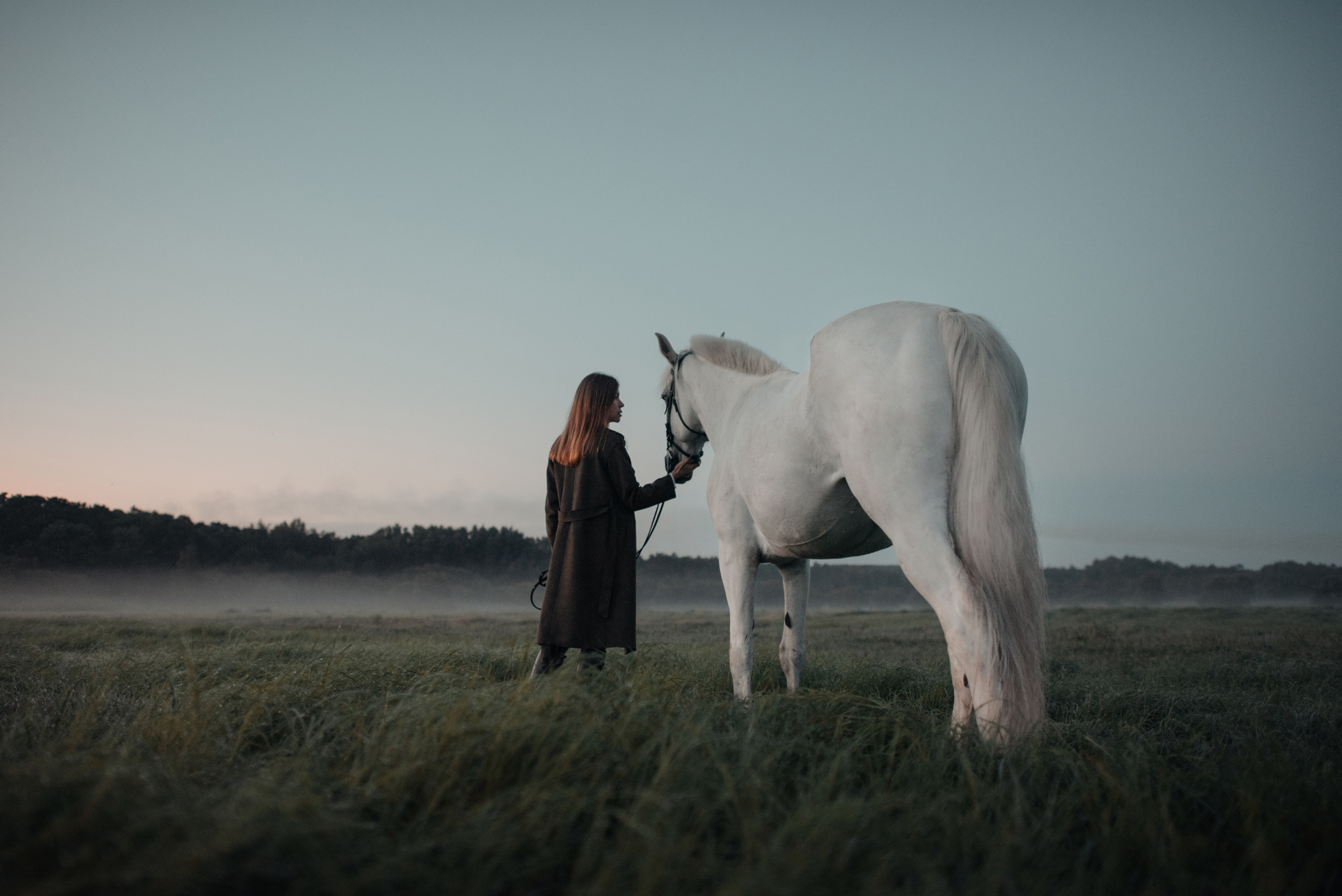 Конное: рассвет на поле с Лерой и Златой. Портфолио