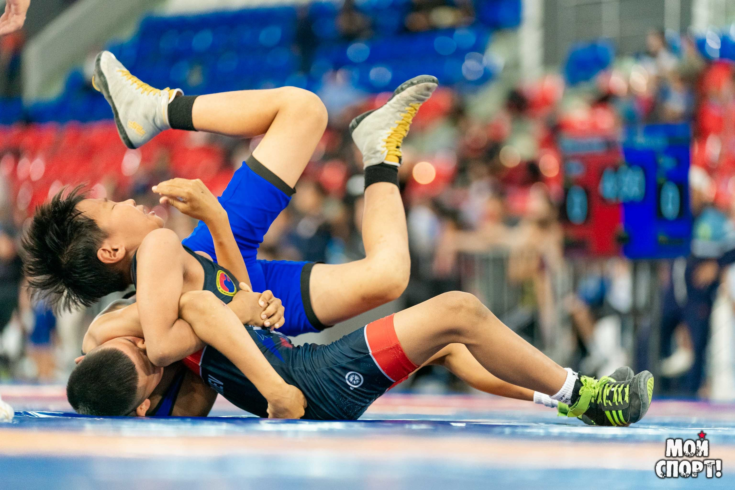 Международный, всероссийский и республиканский турниры по вольной борьбе среди юношей в честь П. П. Пинигина. Студия «Мой Спорт!» — все о спорте в Якутии