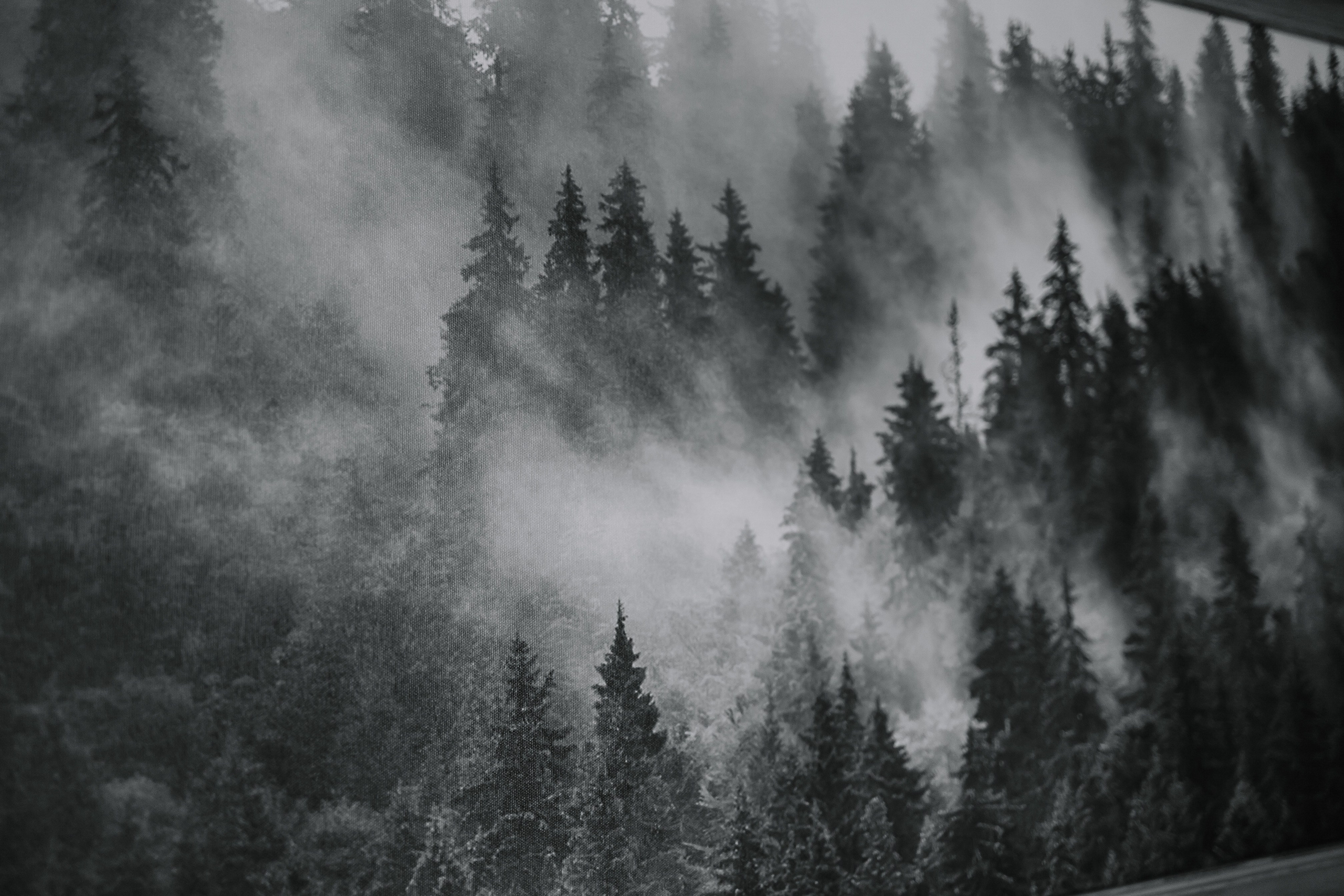 Клим/Ксения. Свадебный фотограф