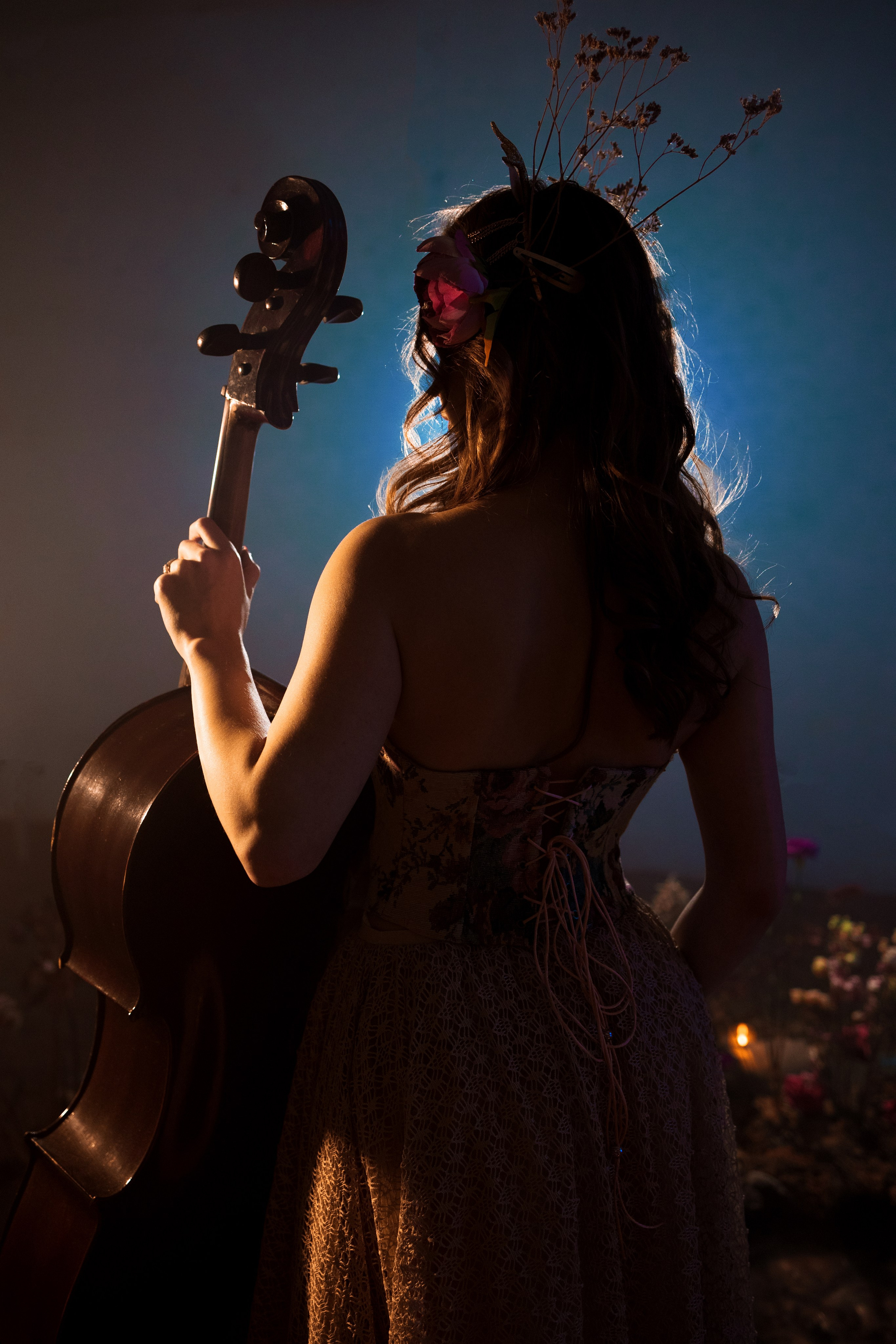 Таинственный сад