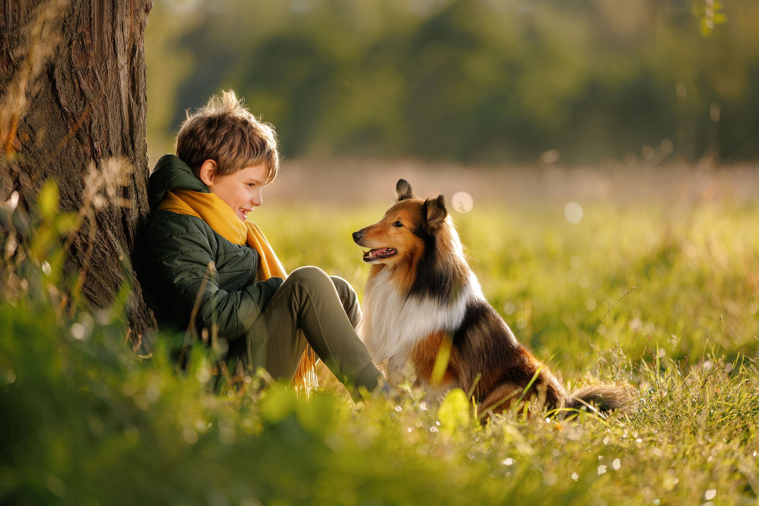 Фотосессия Маленький Принц. Фотограф-анималист в Москве и Московской области Татьяна Фролова
