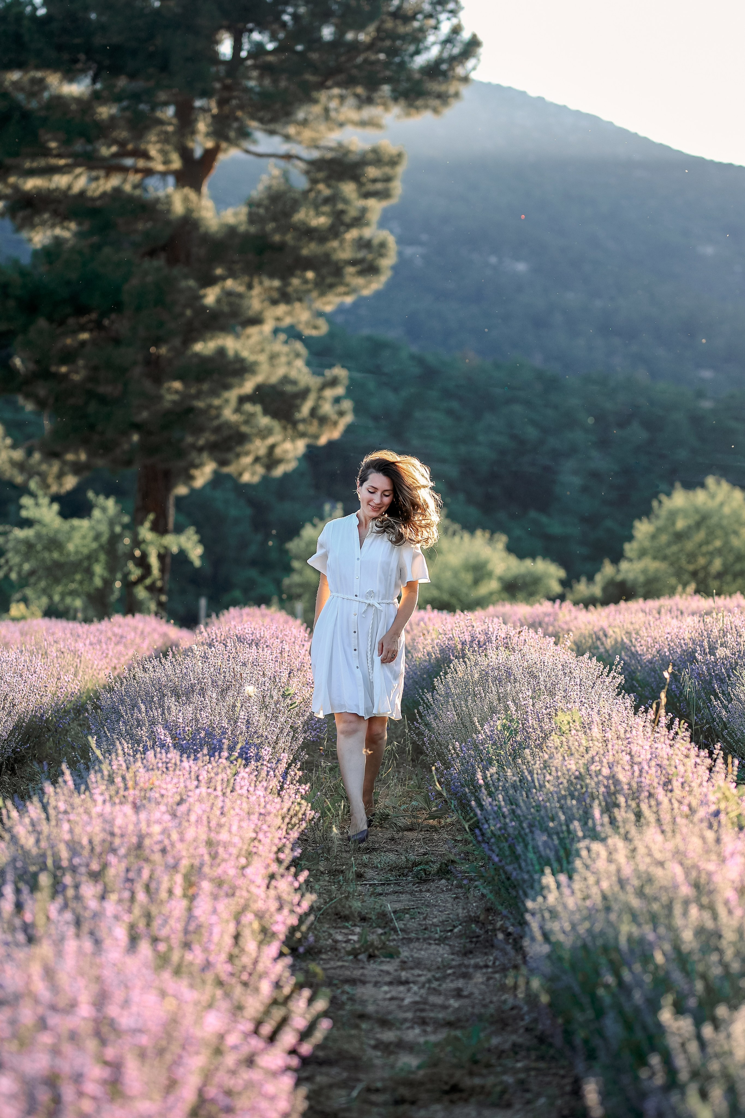 Lavender in Antalya