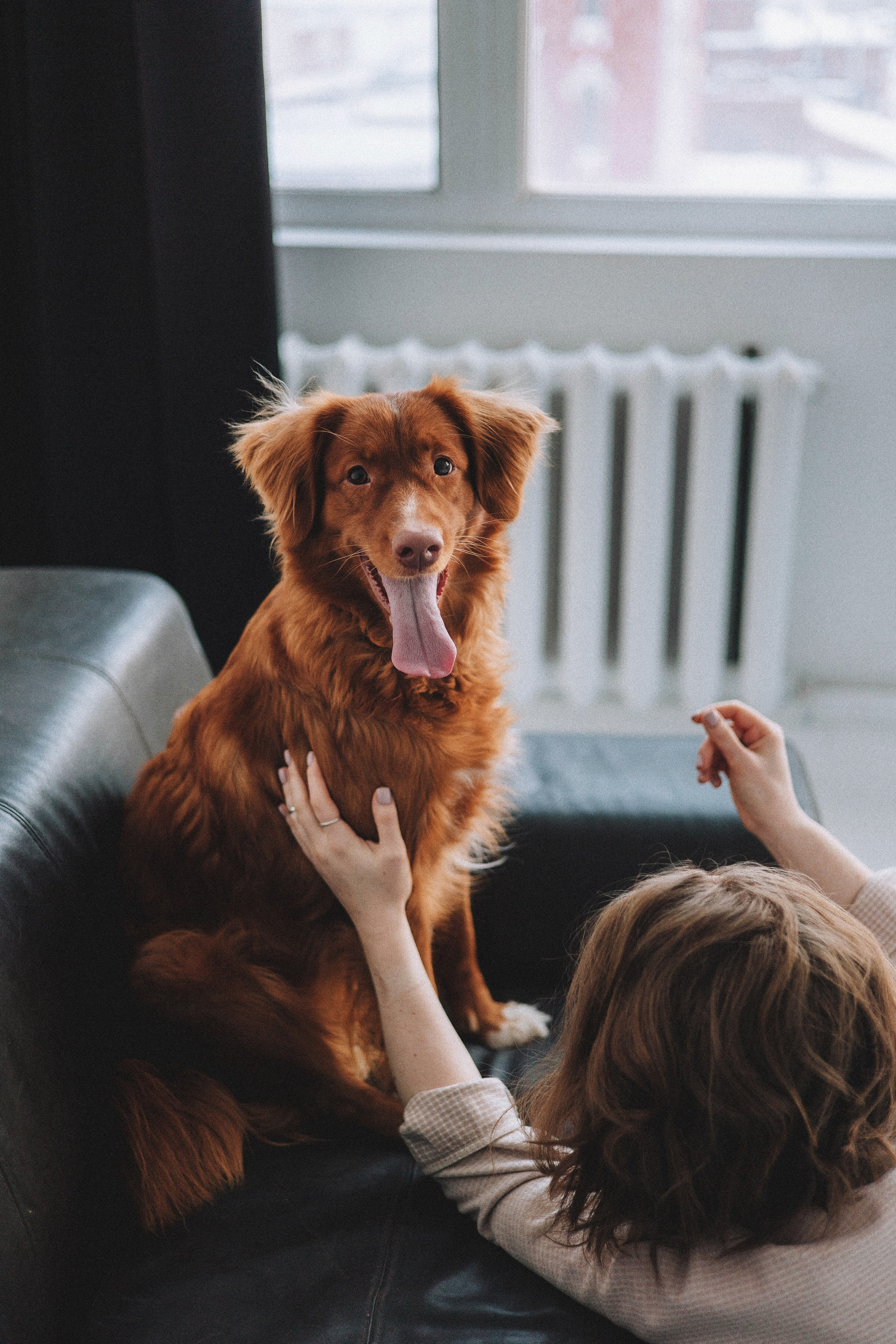 Аня и Лея. Фотограф-анималист Богданова Полина