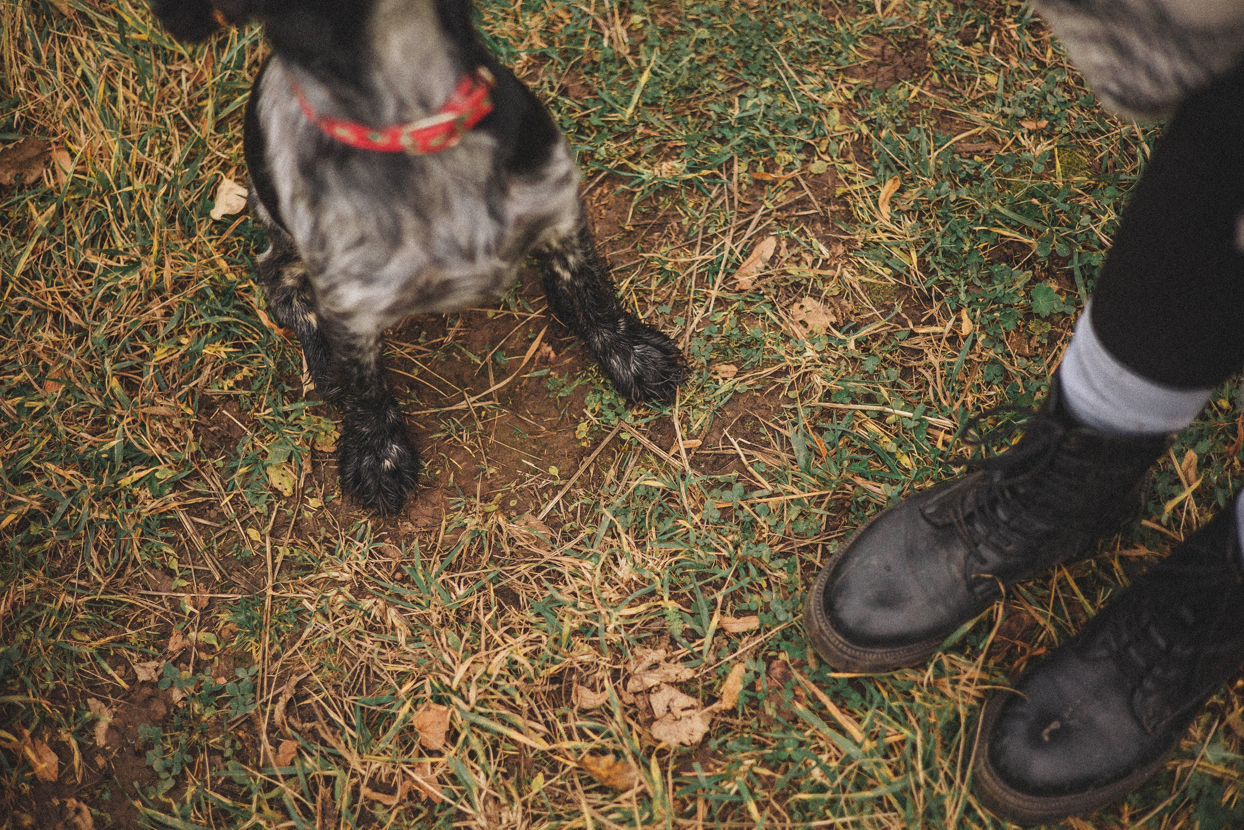 Вика и Ава. Фотограф-анималист Богданова Полина