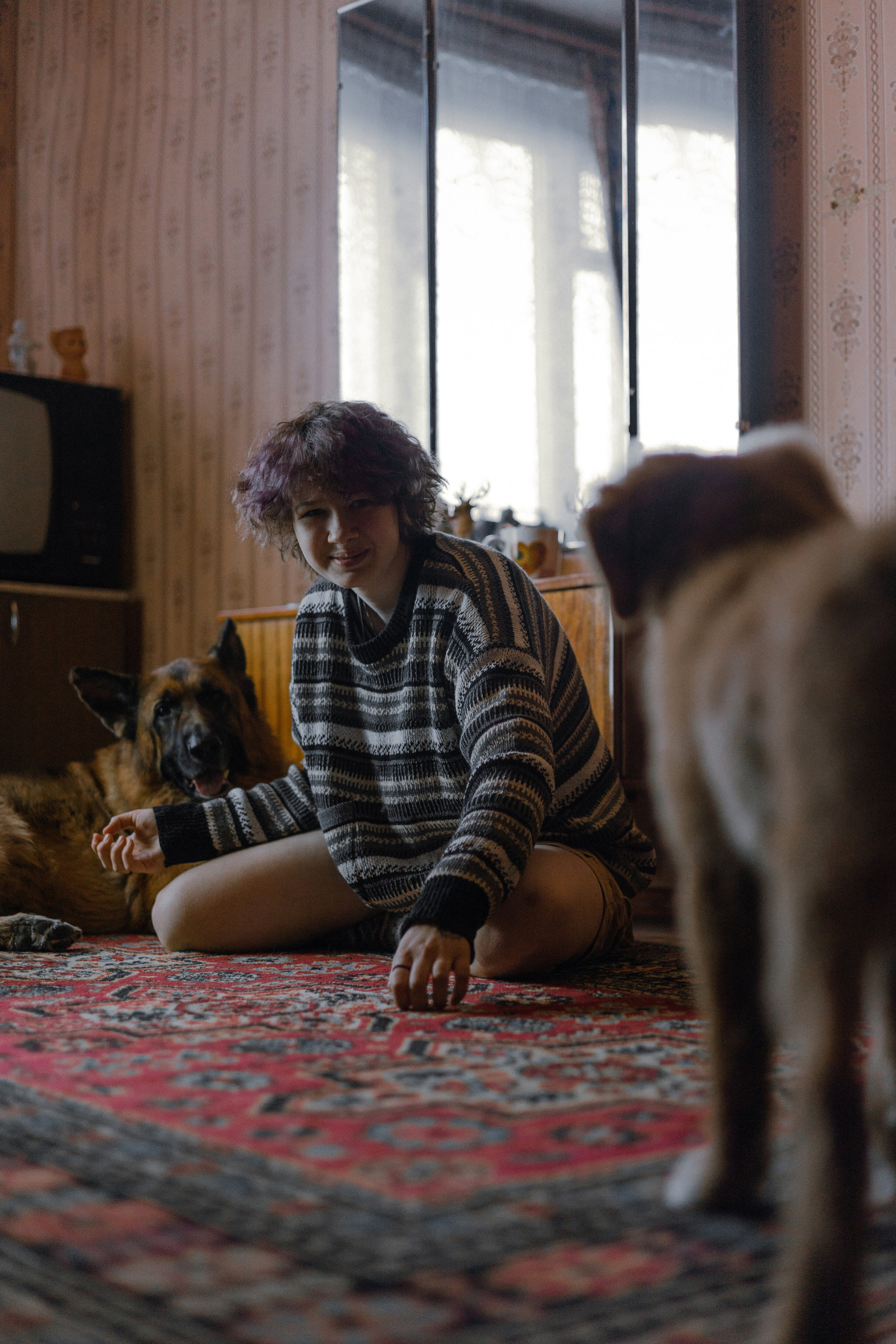 Лера, Реджи и Ральф. Фотограф-анималист Богданова Полина