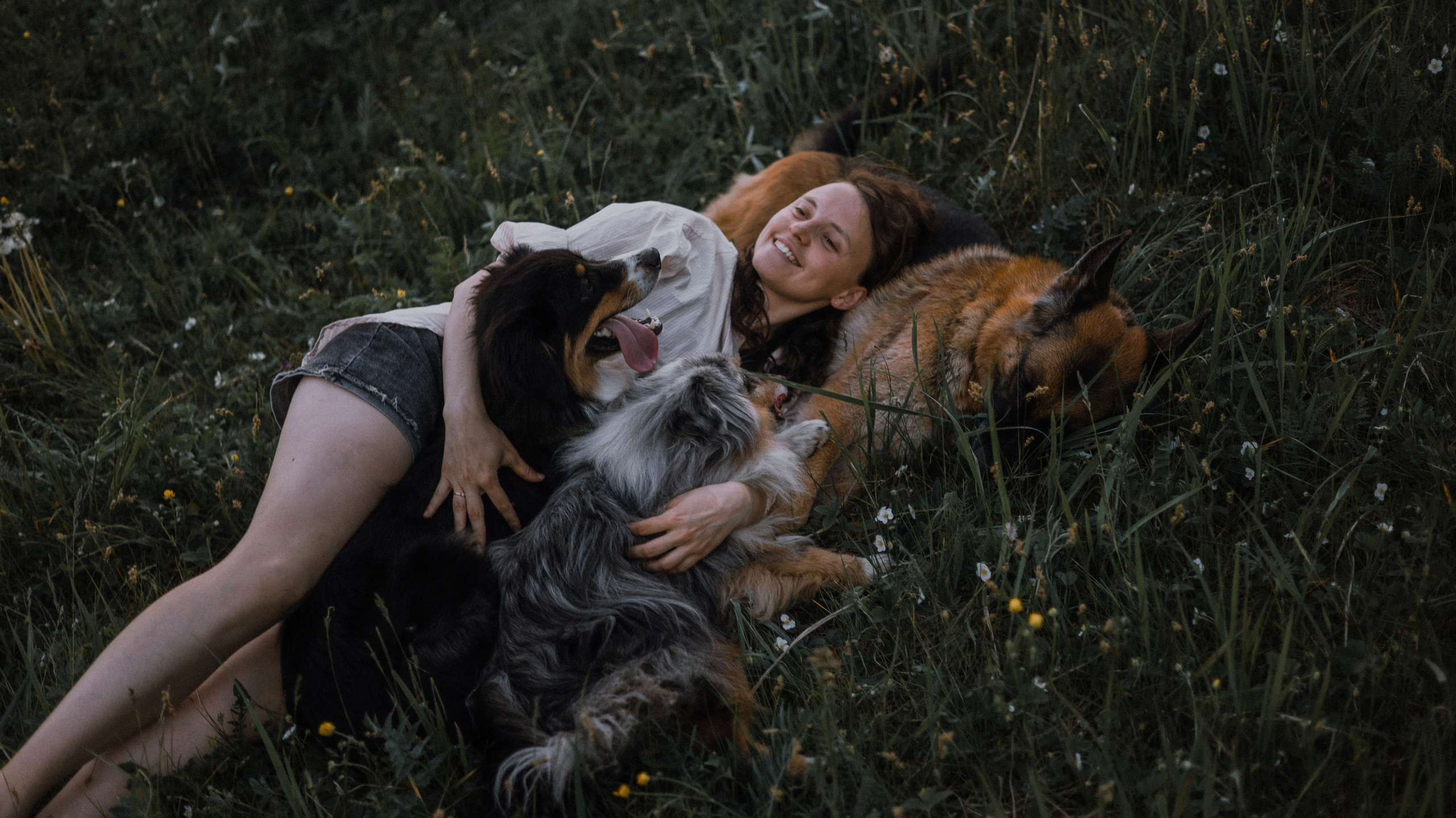 Настя, Шуня, Милка и Тигуан. Фотограф-анималист Богданова Полина