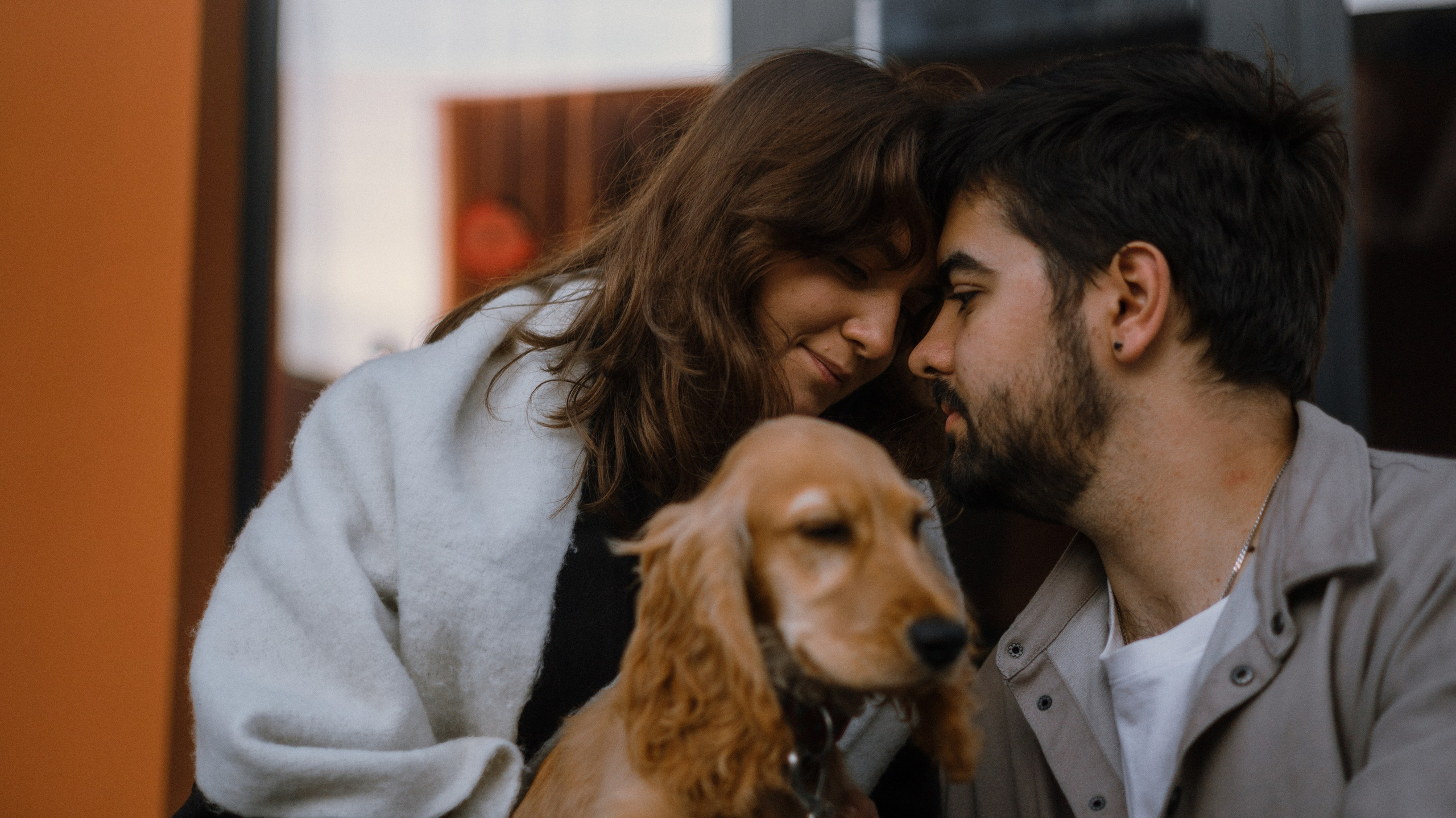 Аня, Андрей и Юта. Фотограф-анималист Богданова Полина