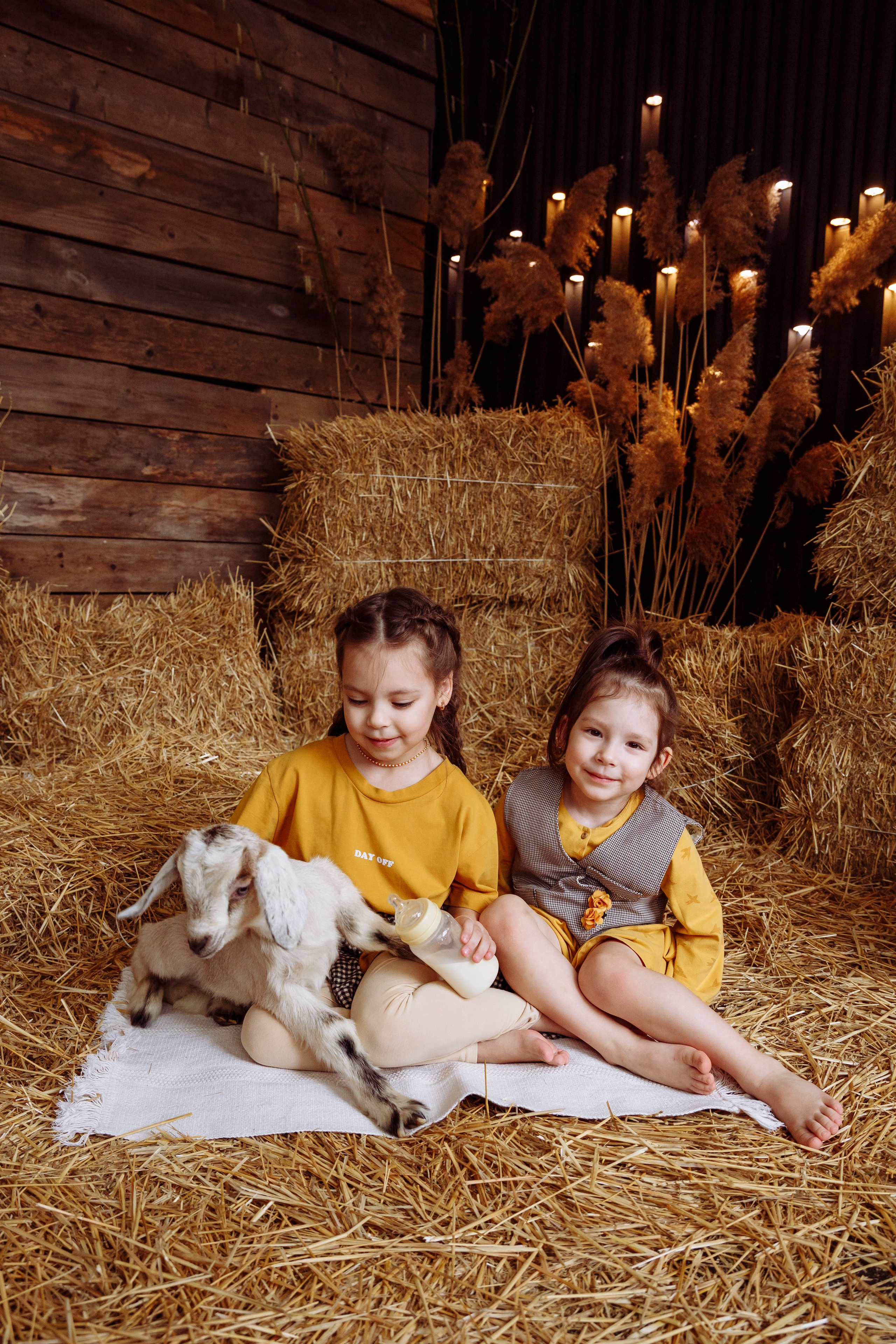 Козлик 2025. Фотограф новорожденных Тверь Диана Муляева