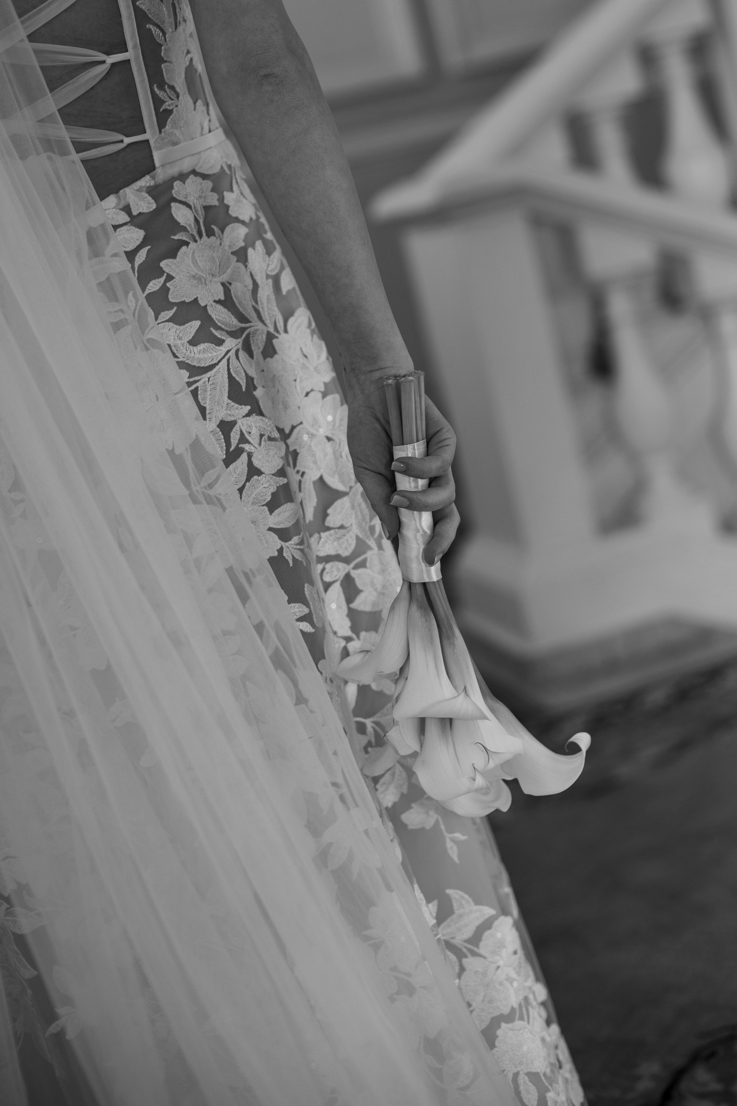 Юрий & Дарья