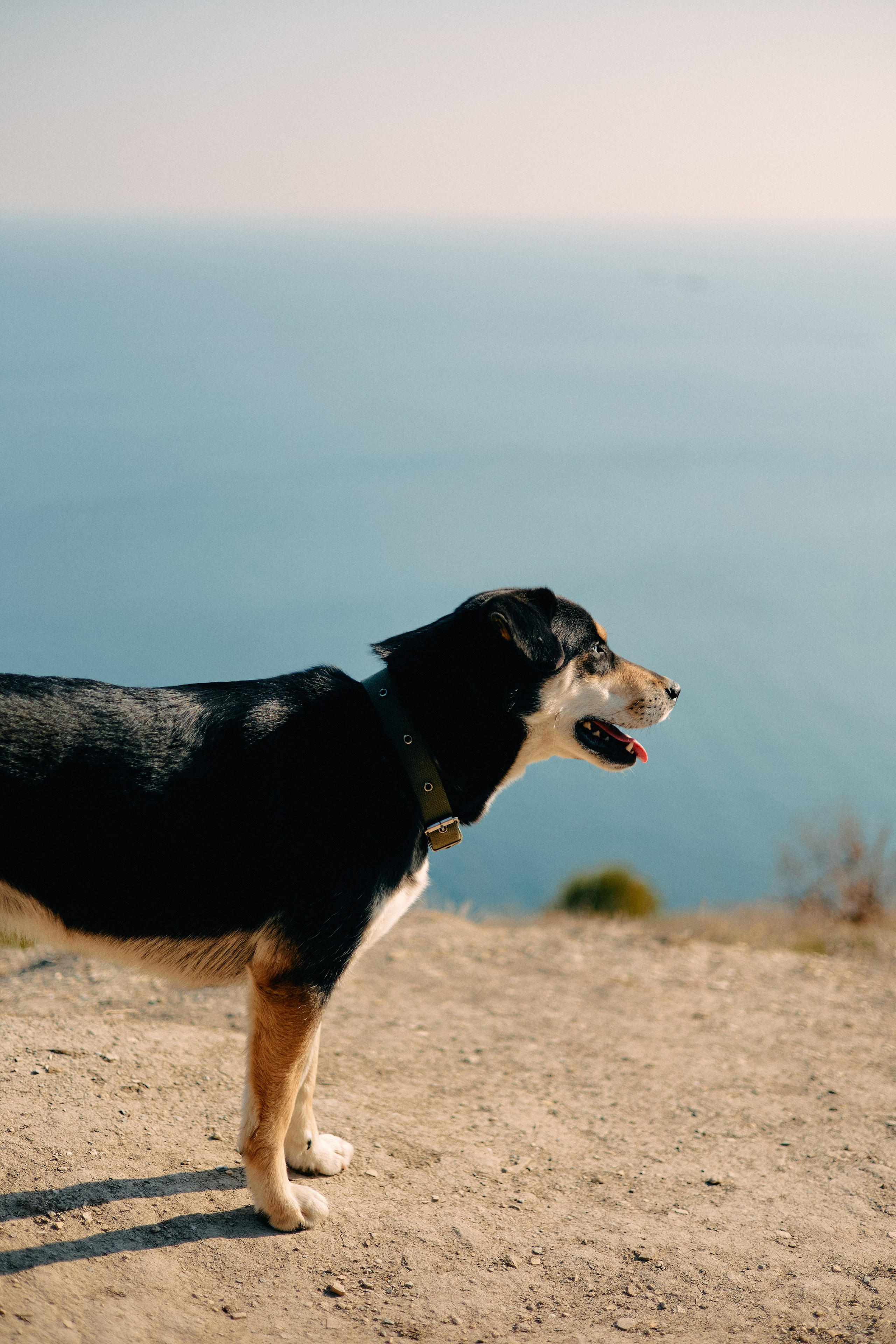 Юг России. Профессиональный Фотограф во Владимире, в Москве и в Суздале — Полина Романычева