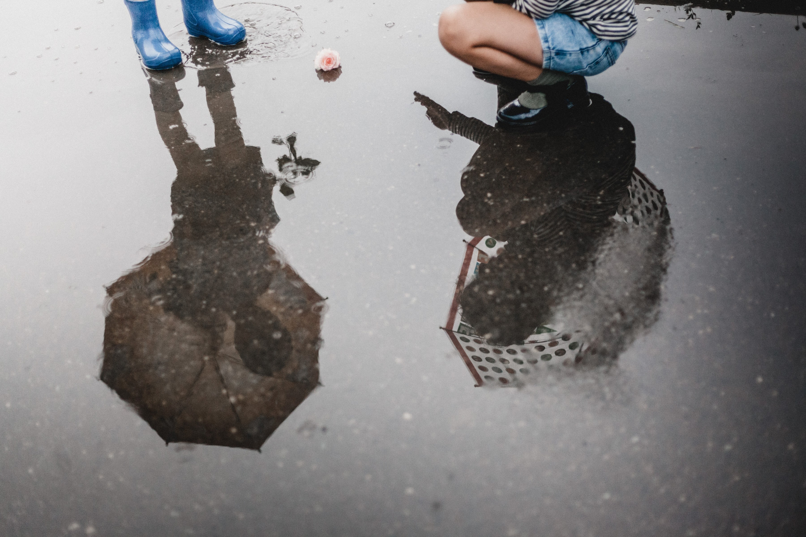 На улице и на природе. Фотограф Оксана Мамукаева г. Владикавказ