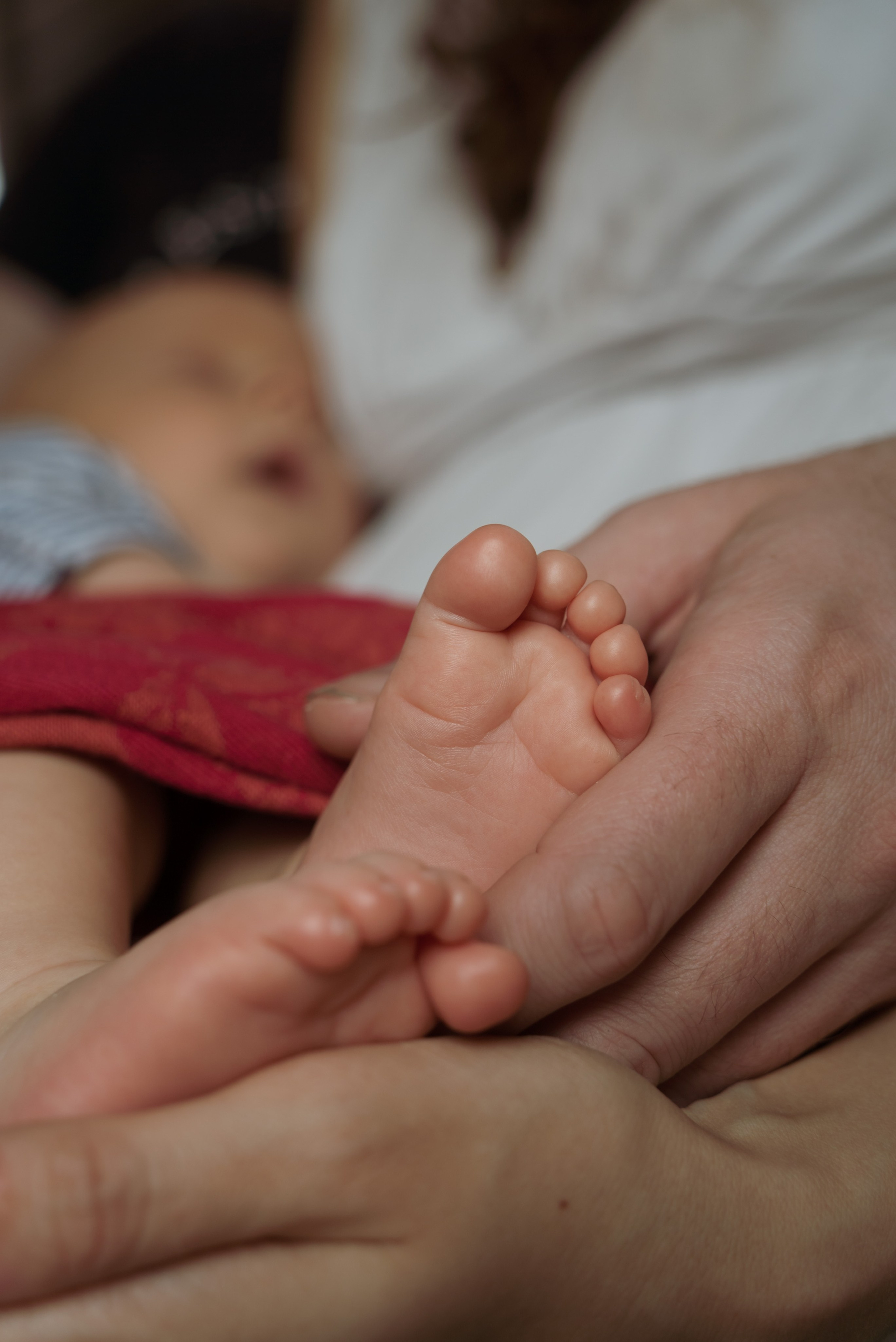 Домашняя фотосессия с двумя детьми. Видеограф Осинина Татьяна — видеосъемка в Москве