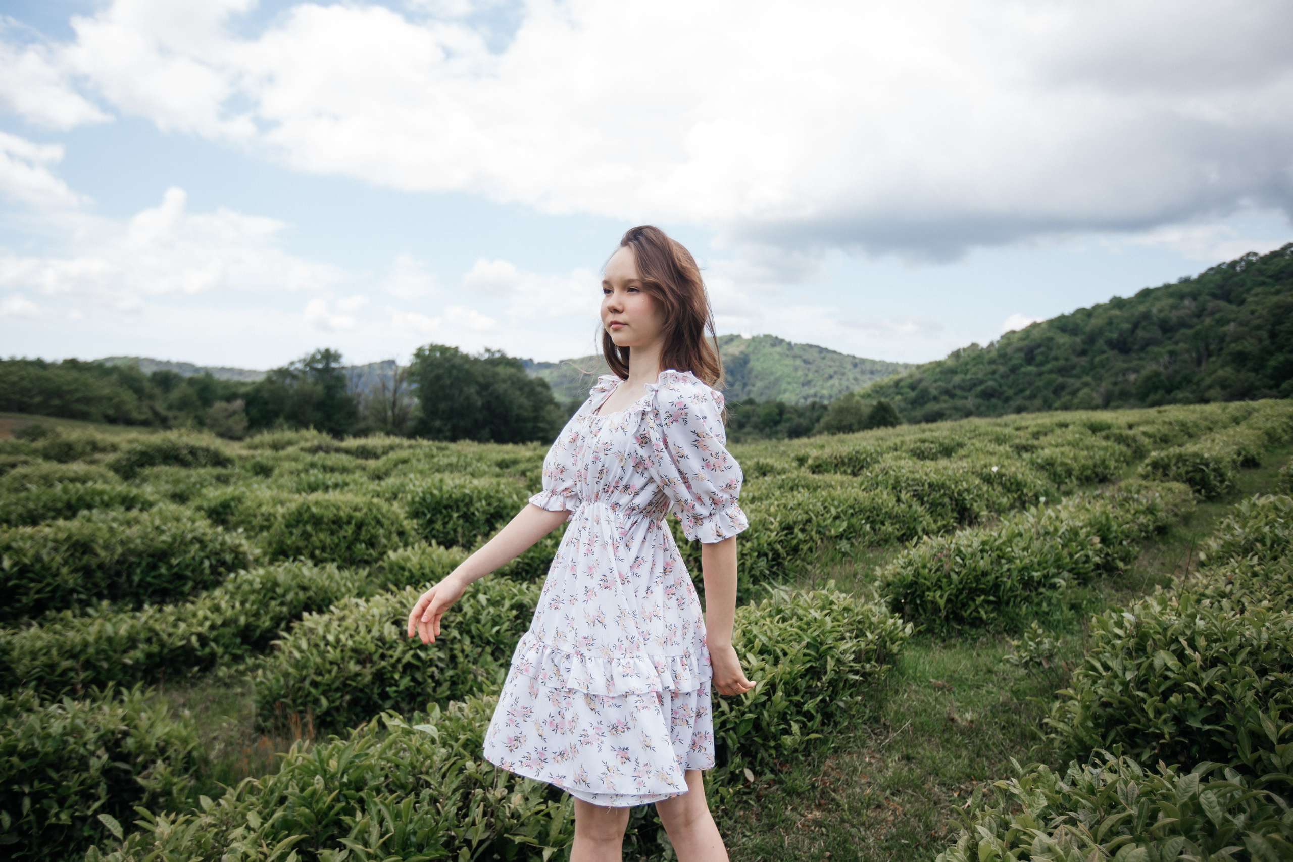 Tea plantation. Efimova Model Agency