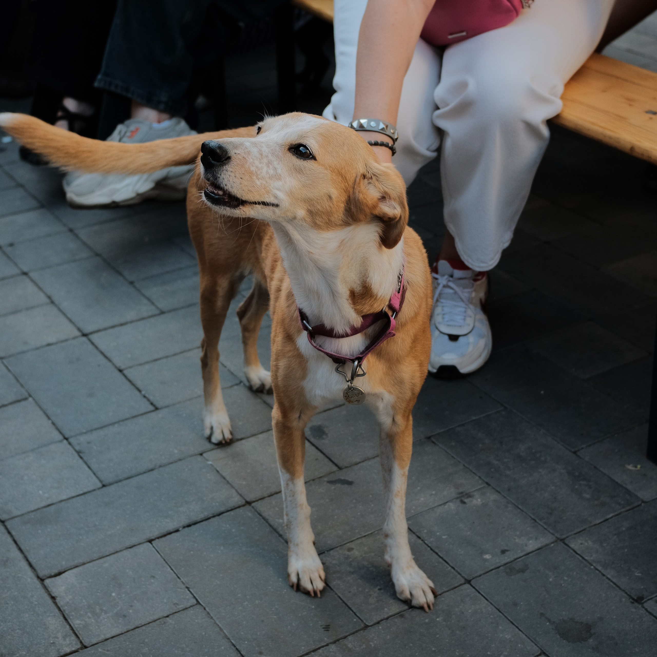 Rostov-on-Don. Creative travel photographer — Berg Daria