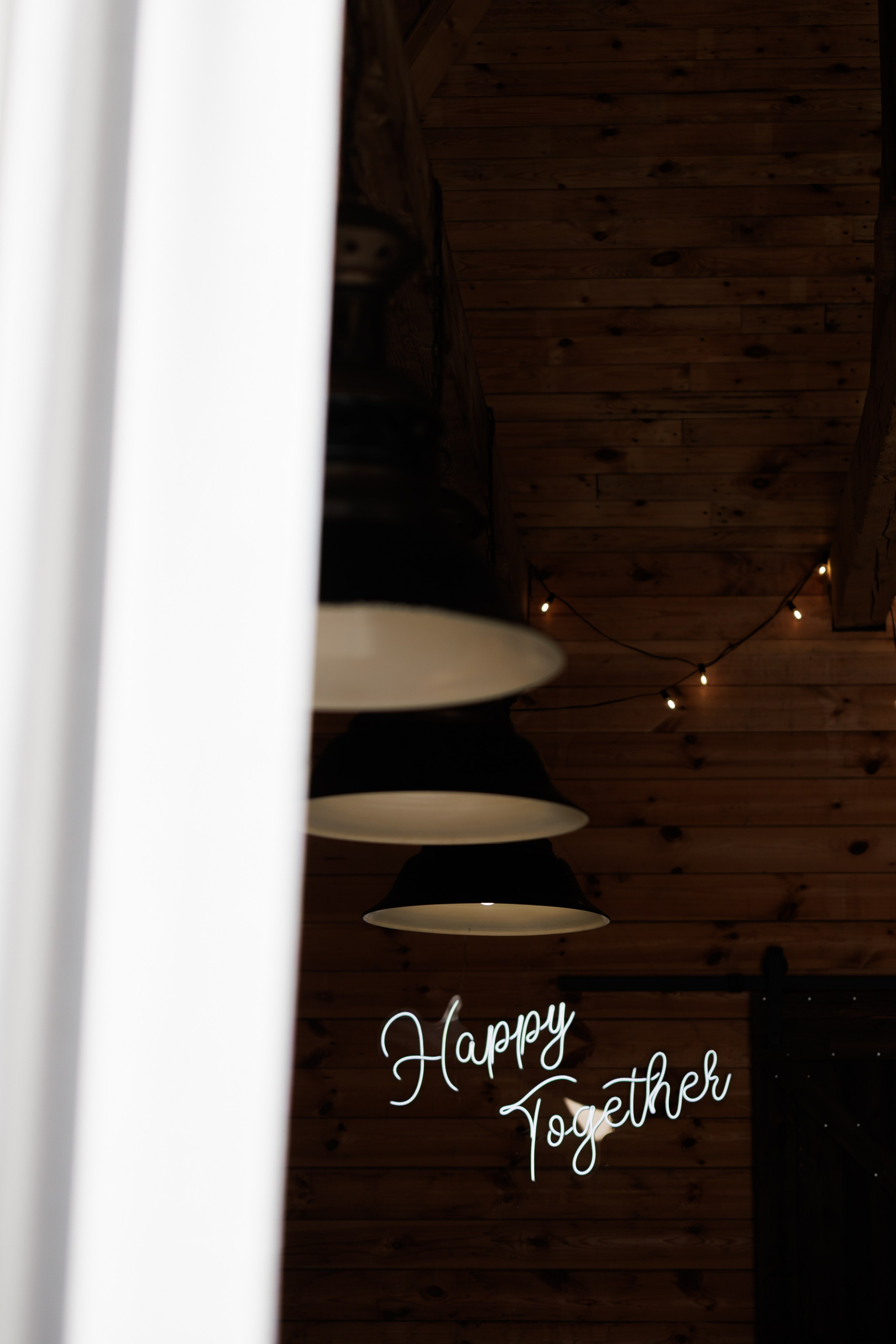 Roma & Alina. Свадебный фотограф Москва Брянск Елена Клещёва