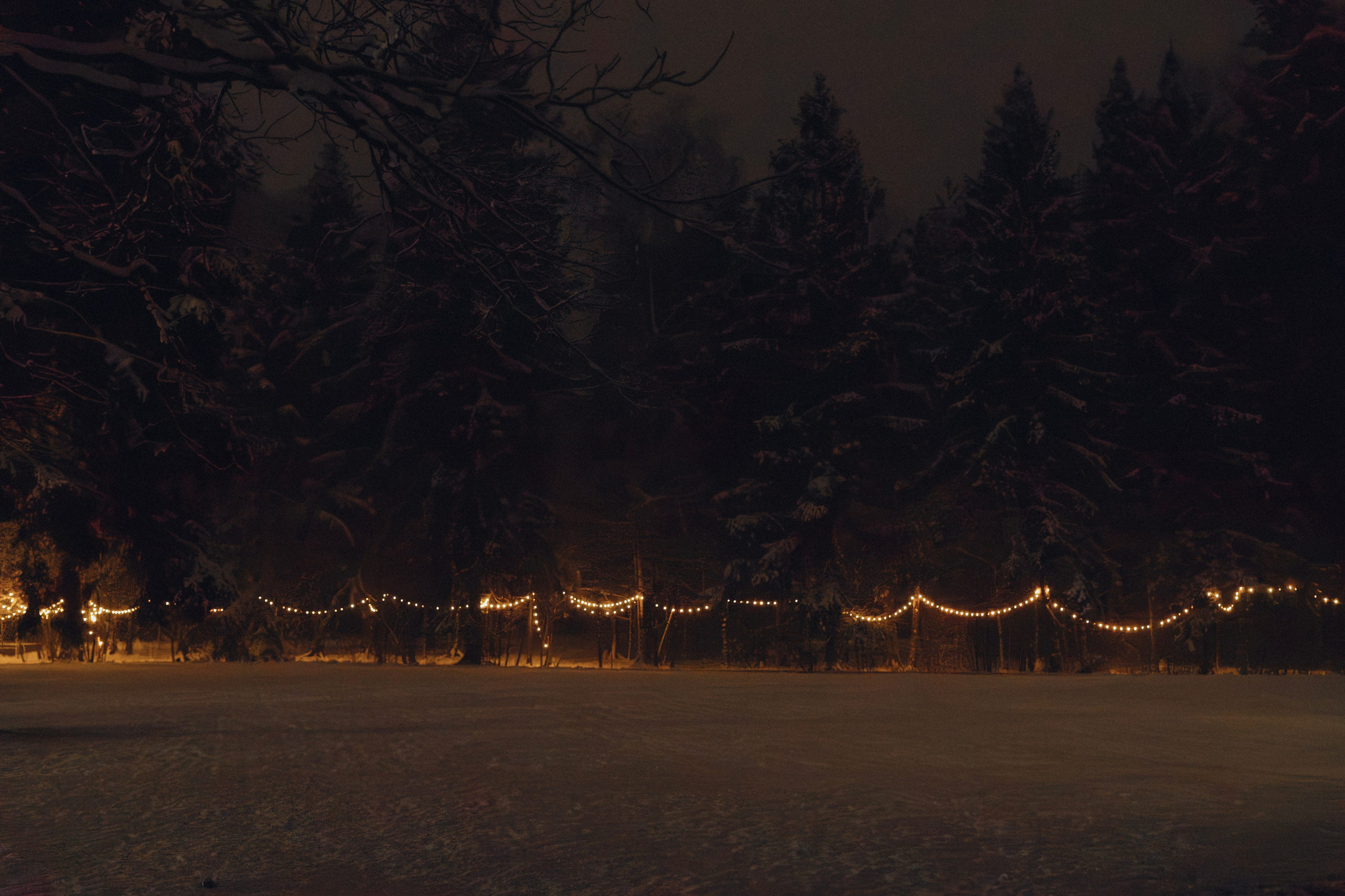 МОЙ ОКЕАН. Свадебный фотограф в Москве Мария Кривоногова