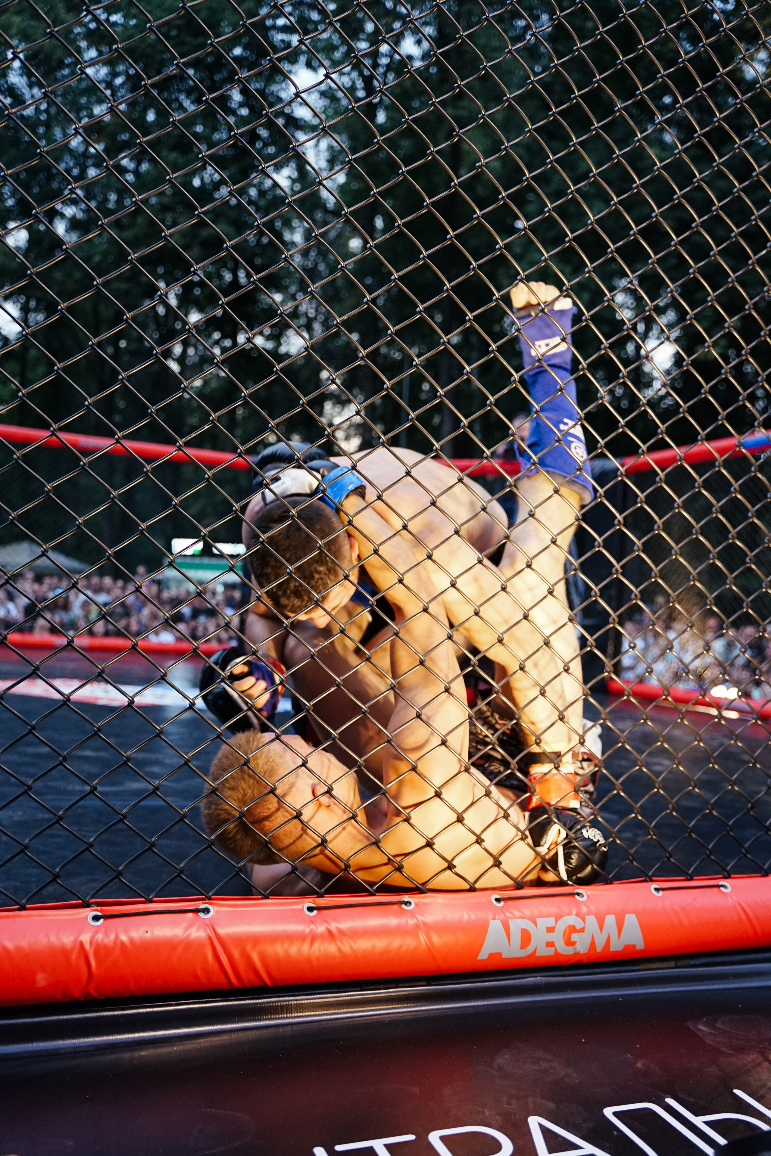 Вечер боев в ЦПКиО. Фотограф Надежда Погребняк | Рязань | Москва