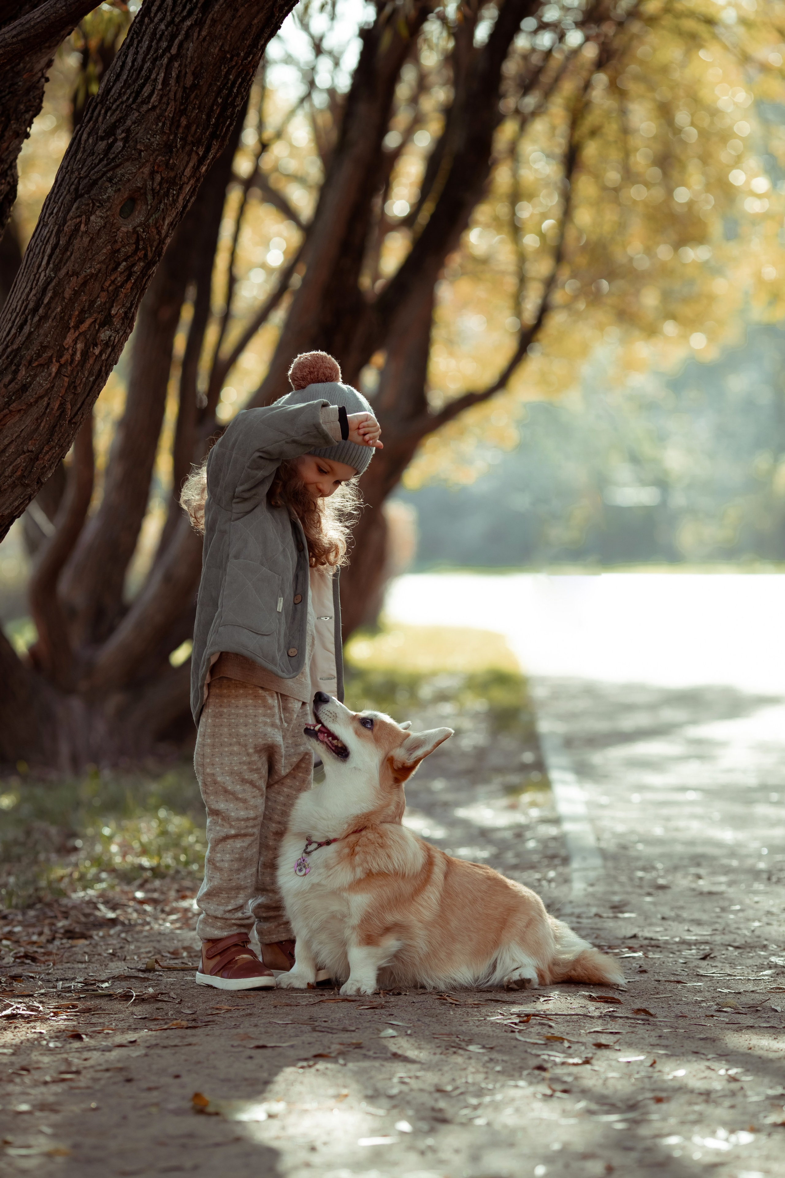 Эва с корги. Семейный и детский фотограф в Москве Дорогова Екатерина