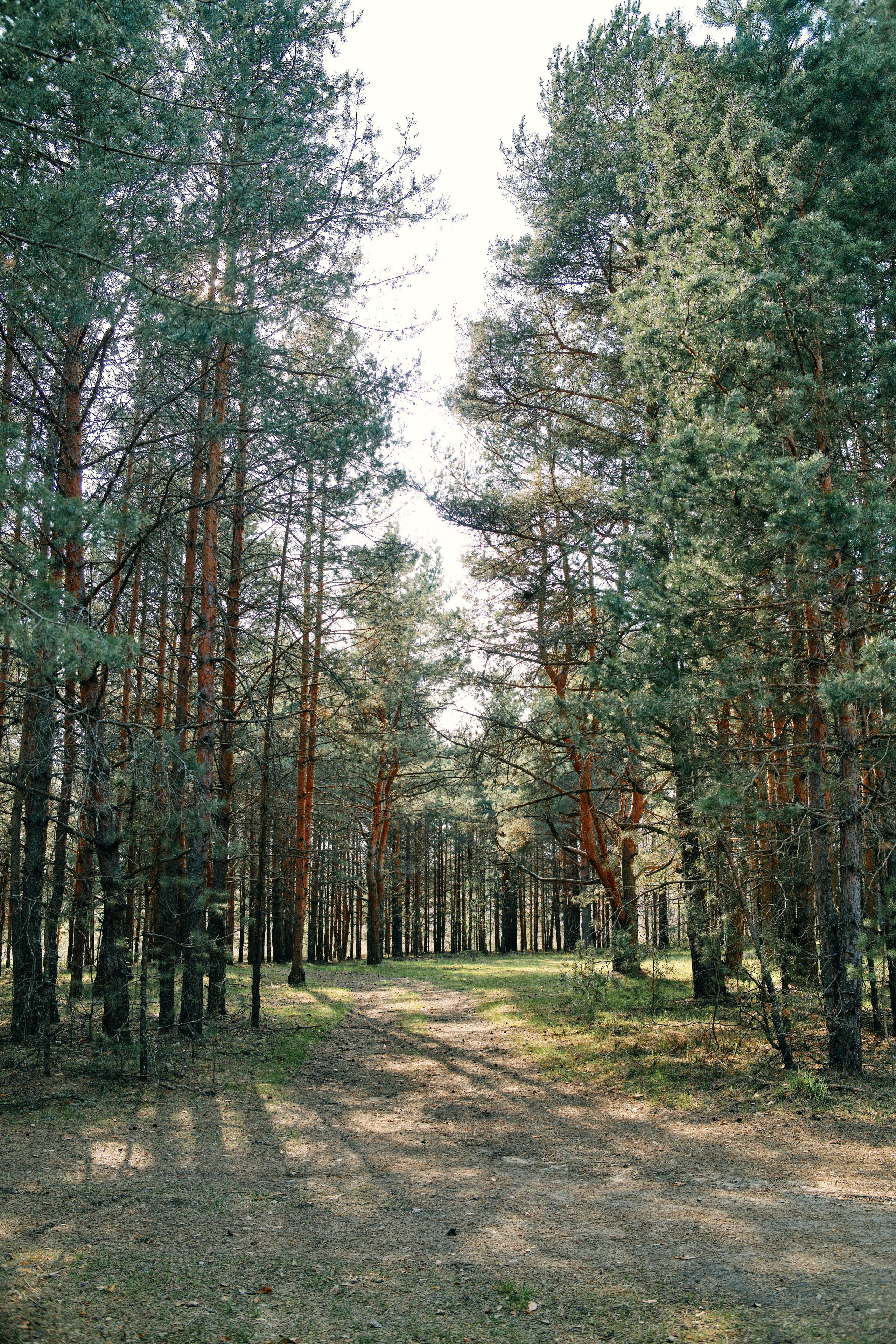 Бутик-отель Поле летом. Профессиональный Фотограф во Владимире, в Москве и в Суздале — Полина Романычева