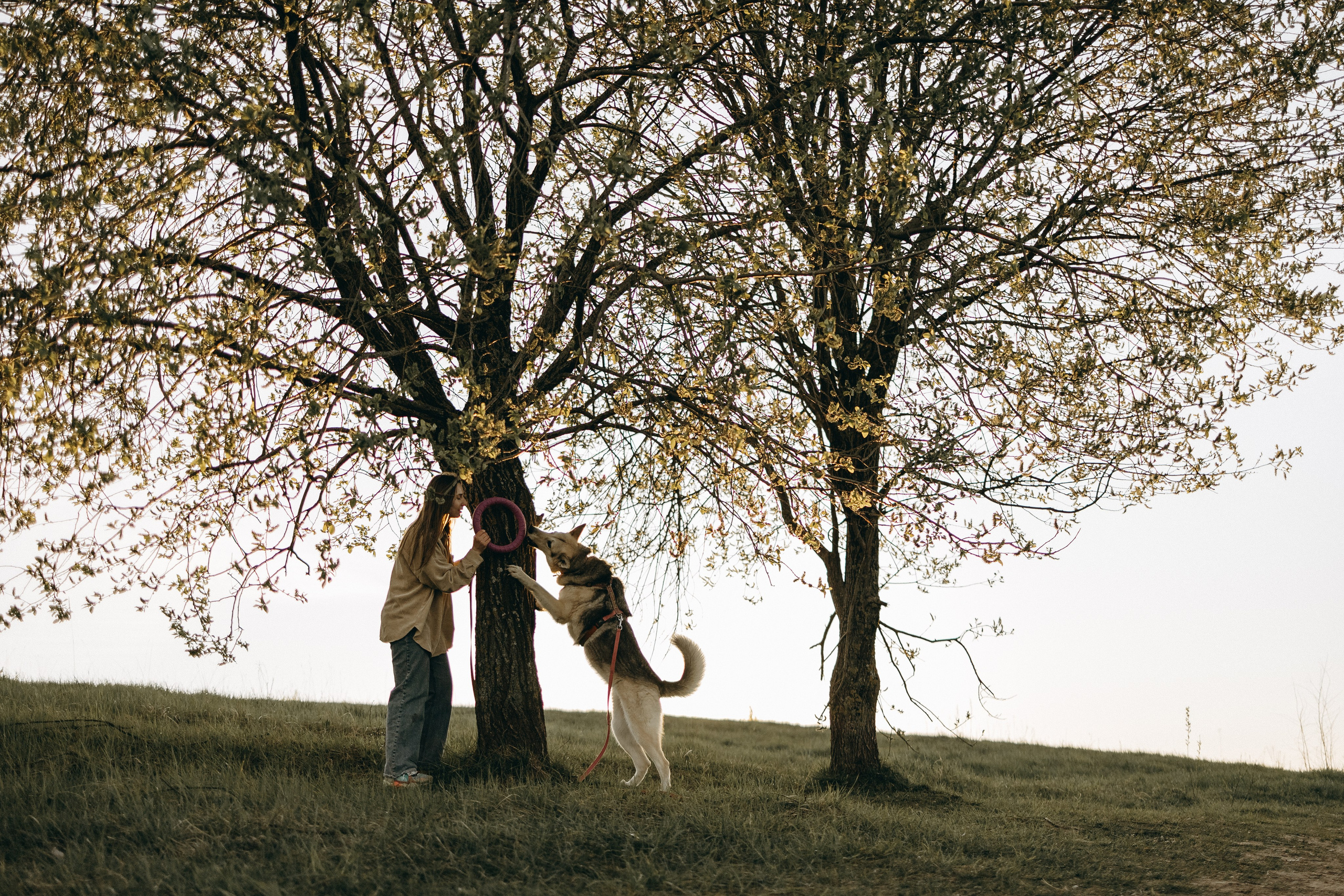 Саша и Зельда. Фотограф — Анималист | Санкт-Петербург