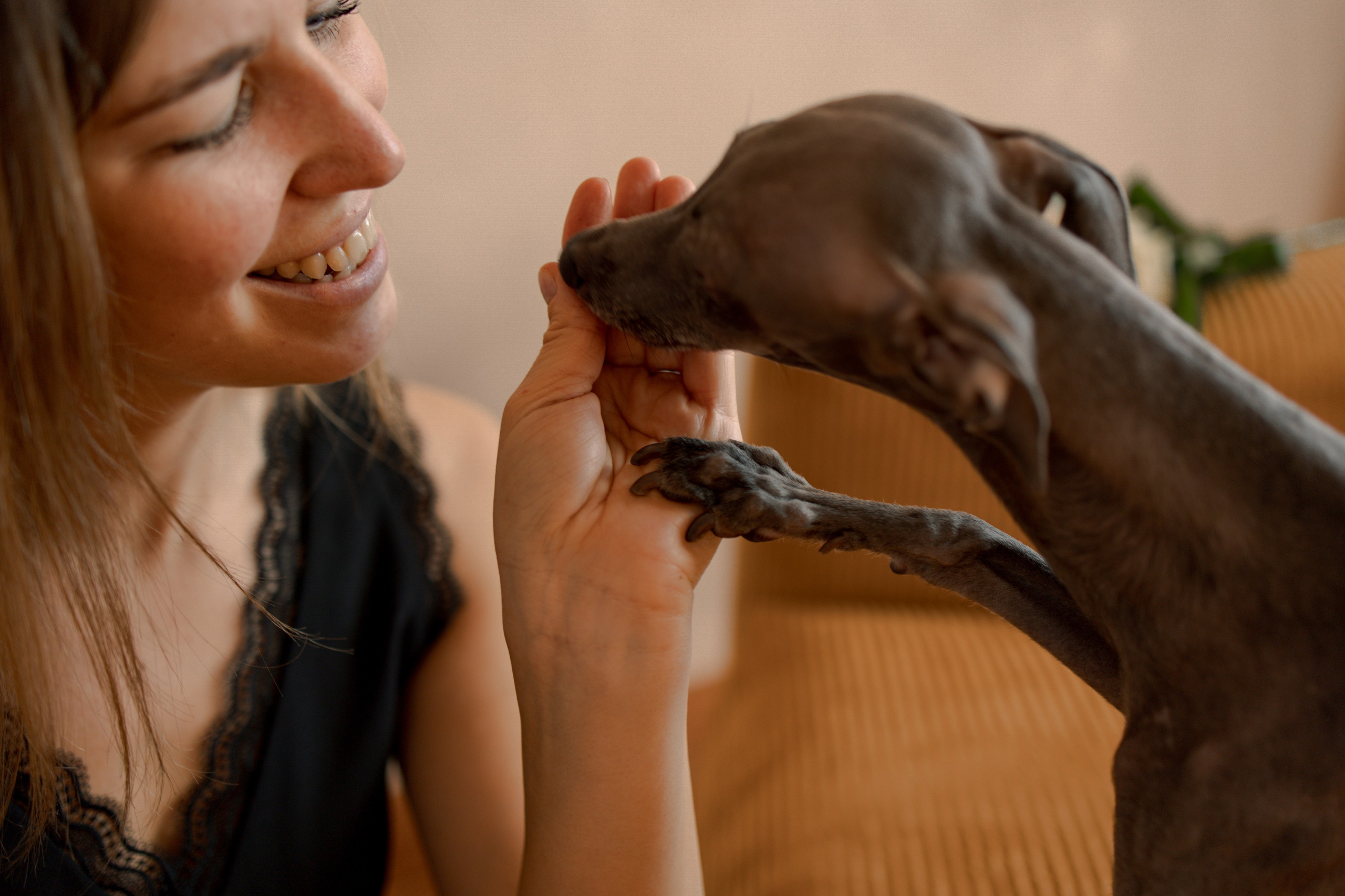 Ксюша и Луна. Фотограф — Анималист | Санкт-Петербург