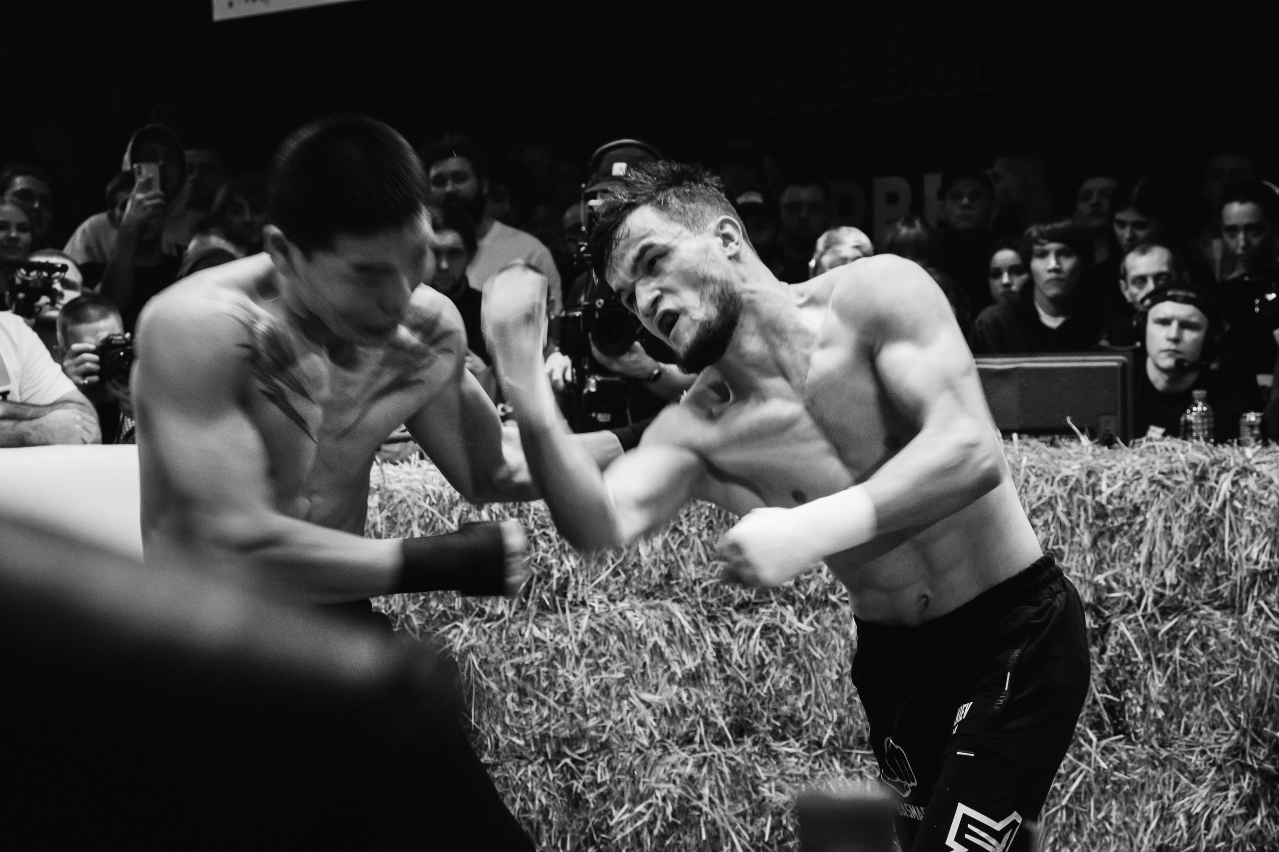 Кулачные бои TopDog. Анастасия Тен