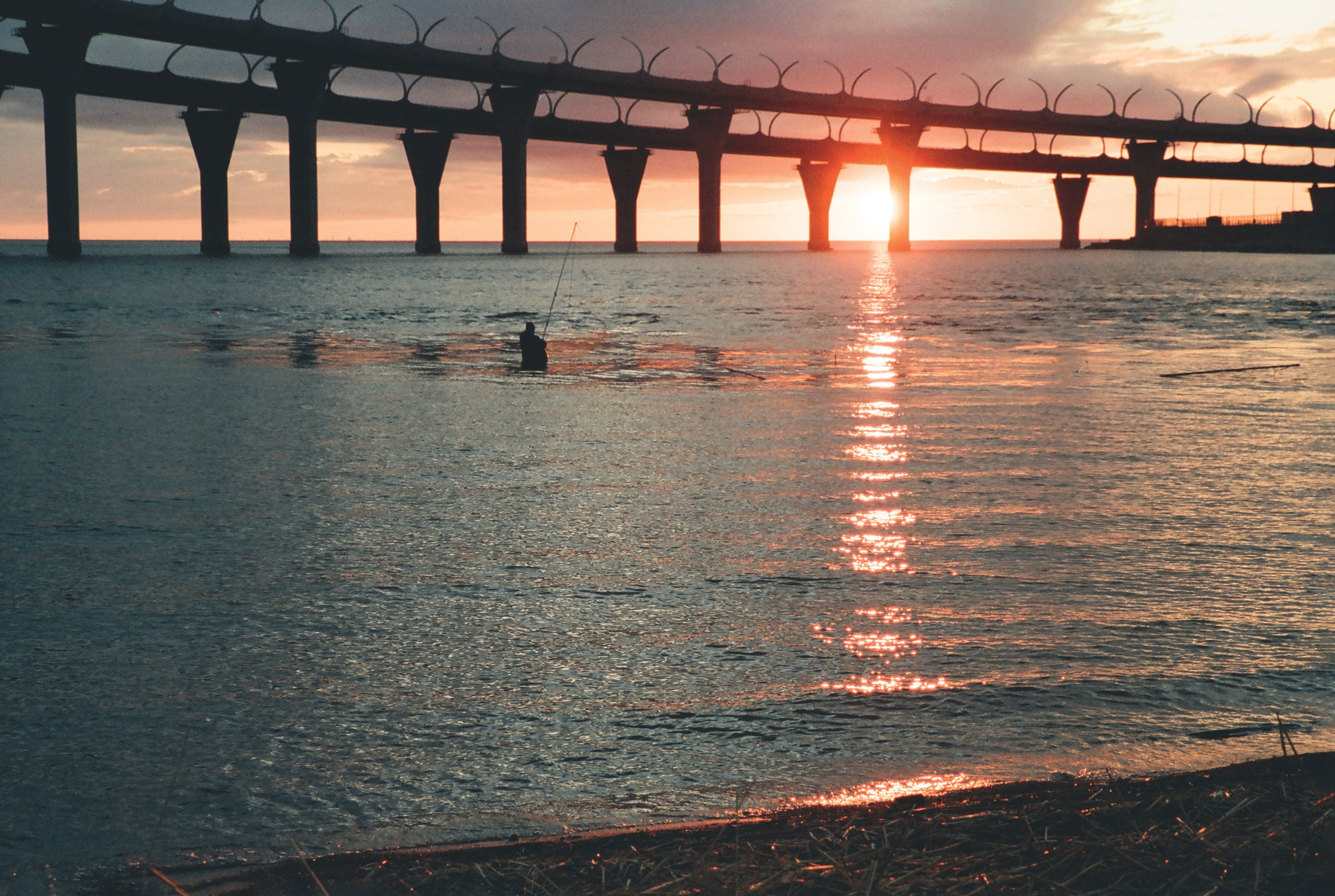 Фотографии цветные. Свадебный и семейный пленочный фотограф в Петербурге Истомина Ирина
