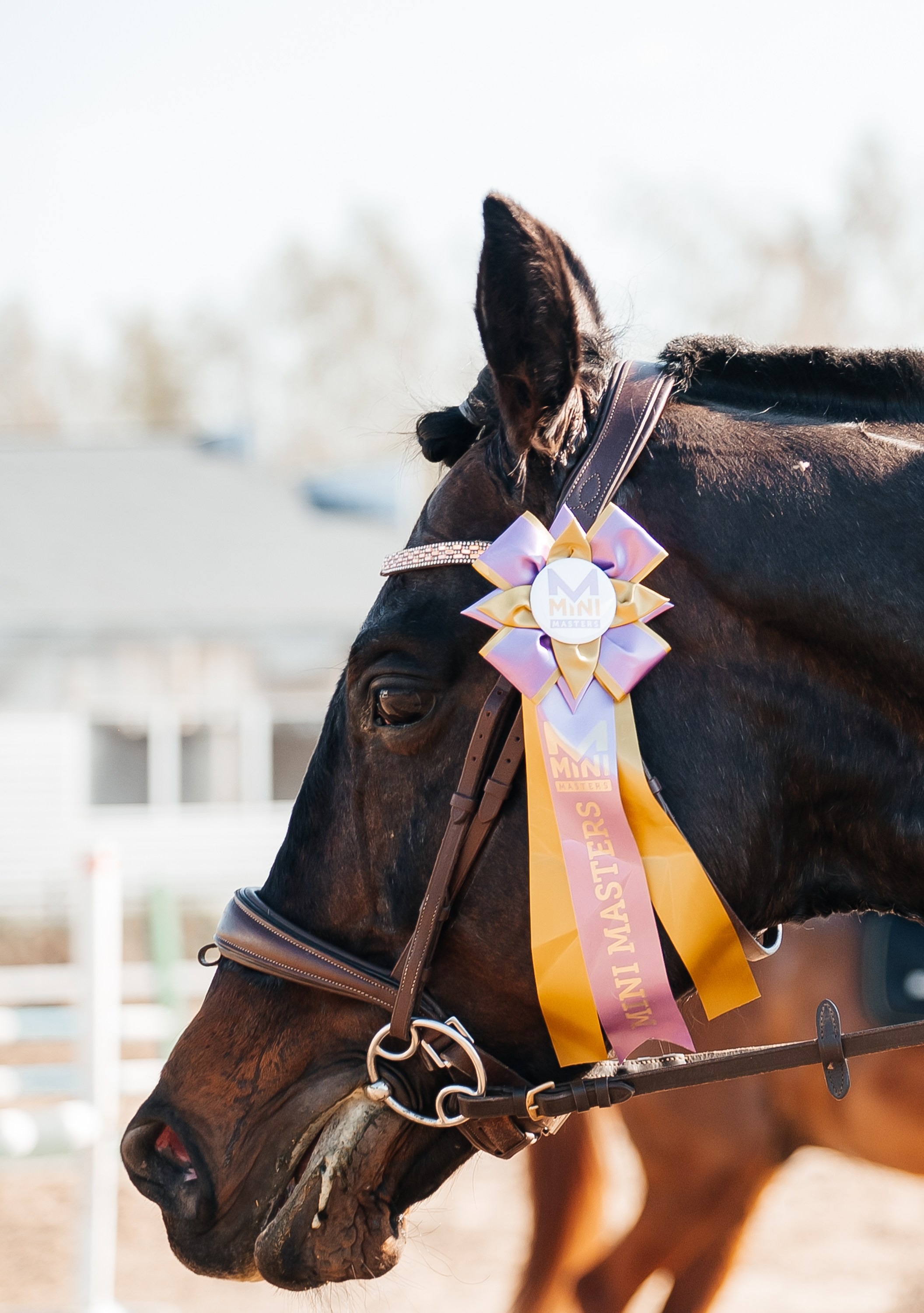 КСК Алекановский 19–20 апреля 2025. Фотограф Рязань