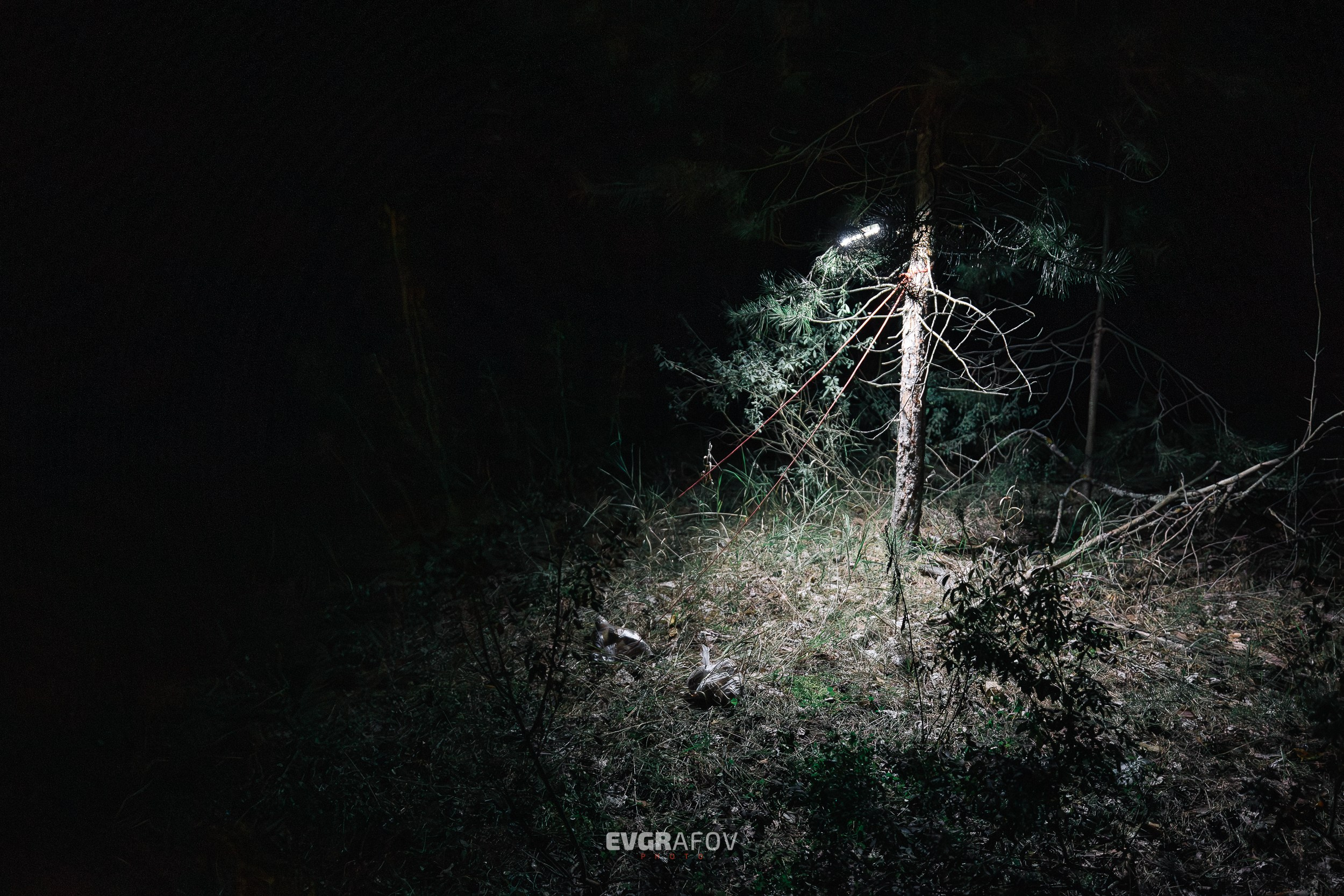 VII туристский фестиваль имени Юрия Белоусова. Фотограф Евграфов Александр