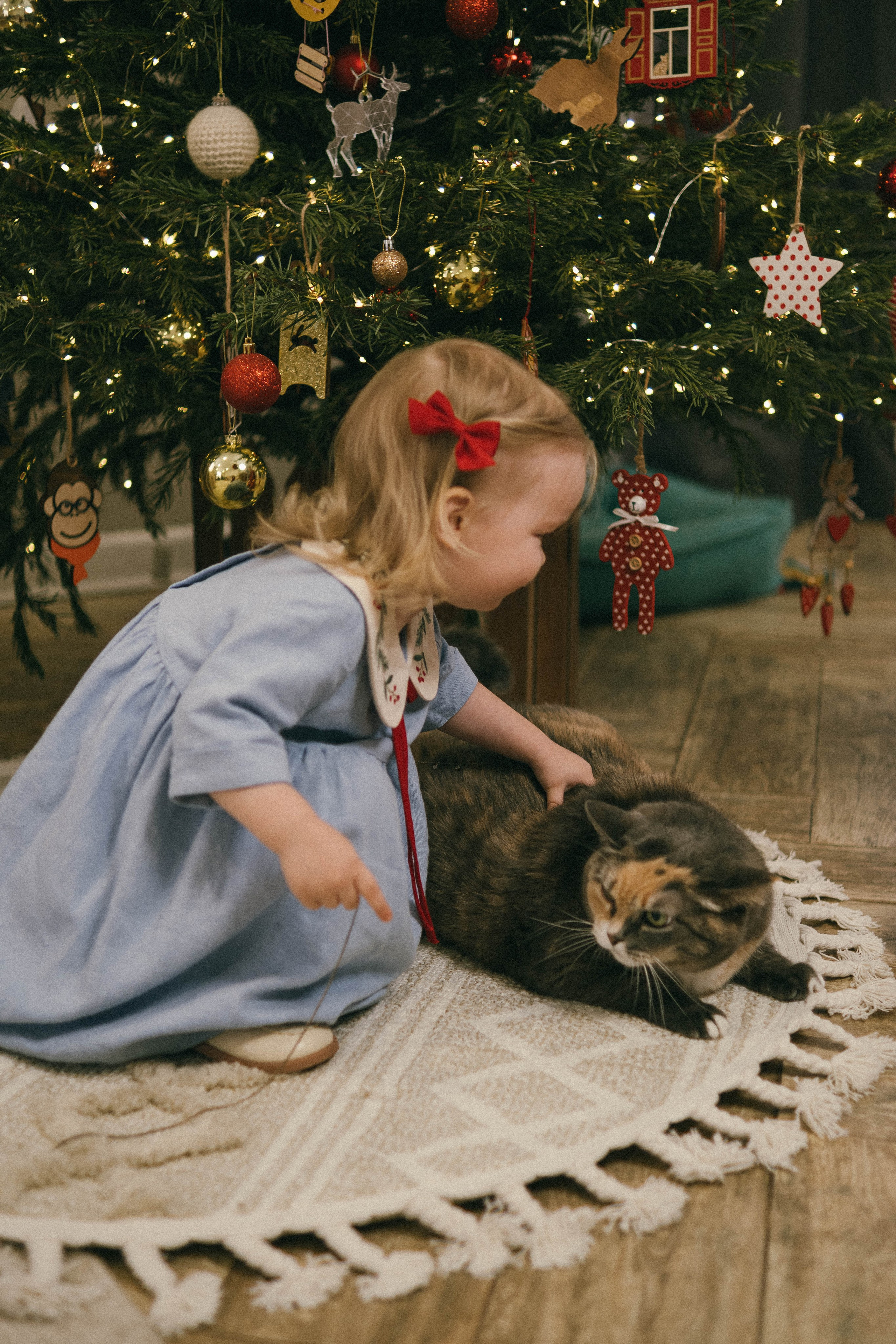 Оксана, Костя и Злата (2026). Анна Демидова — фотография для жизни и бизнеса в Абакане