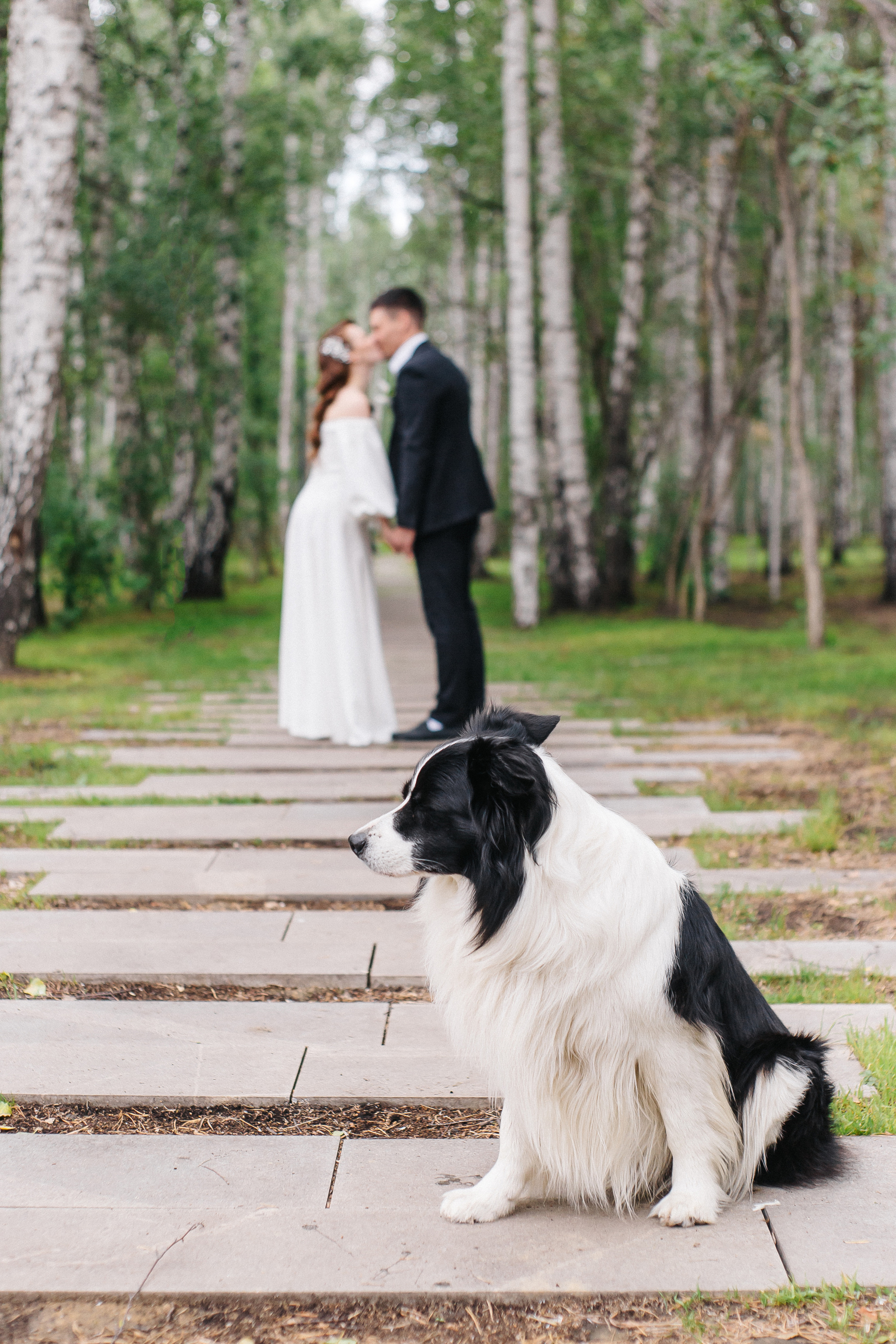 Свадьба Ивана и Дарьи. Свадебный и портретный фотограф Летавина Наталия. Екатеринбург