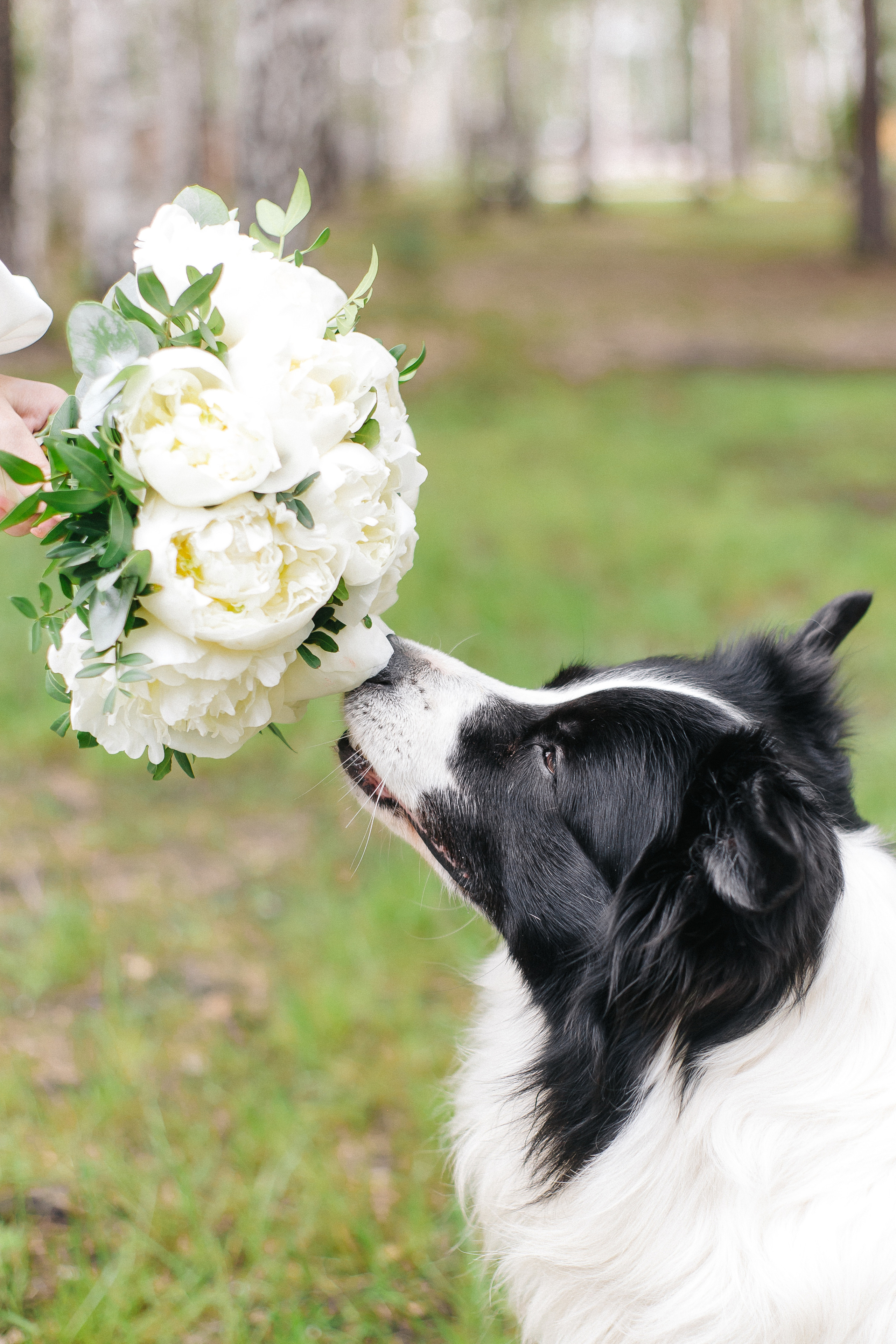Свадьба Ивана и Дарьи. Свадебный и портретный фотограф Летавина Наталия. Екатеринбург