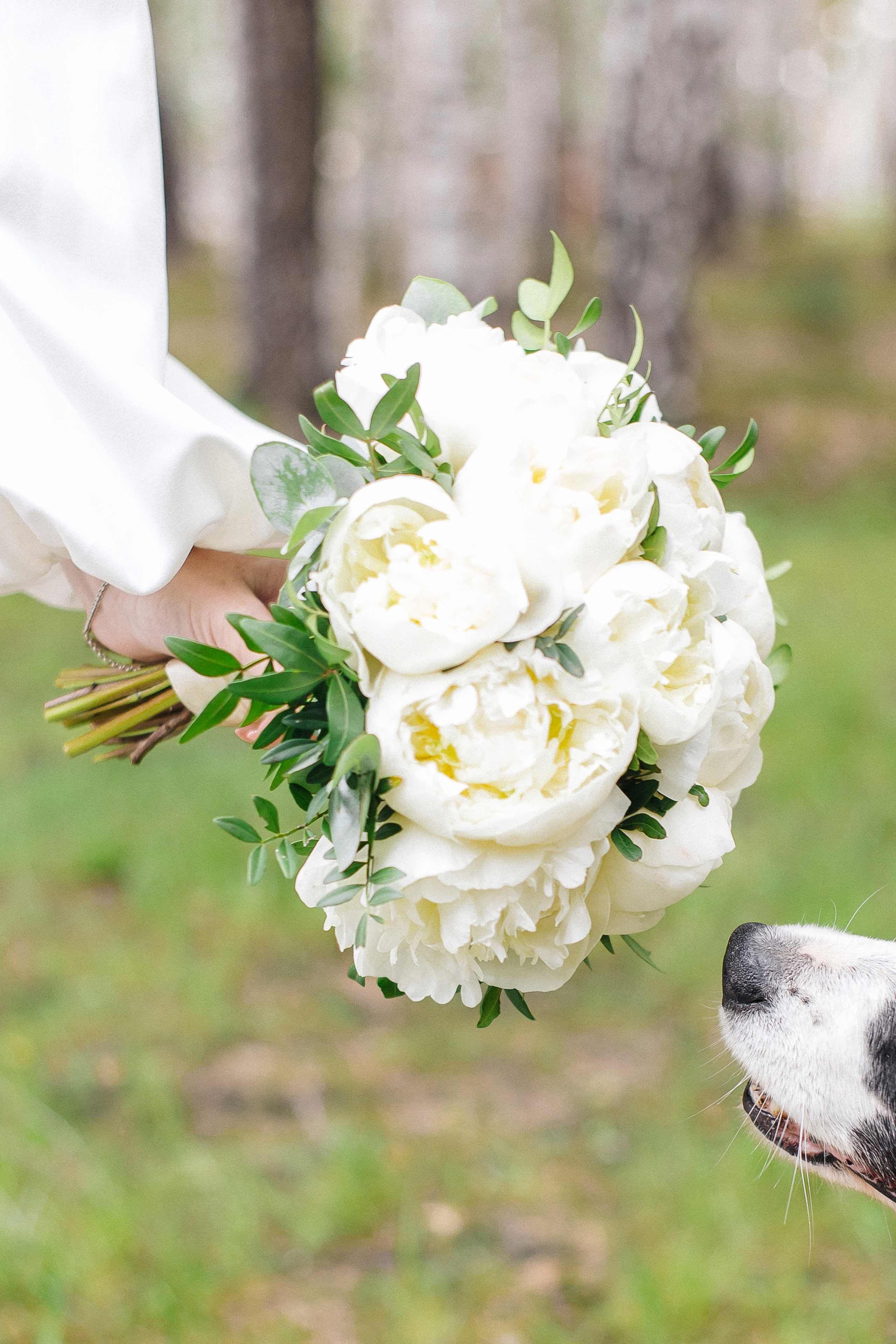 Свадьба Ивана и Дарьи. Свадебный и портретный фотограф Летавина Наталия. Екатеринбург