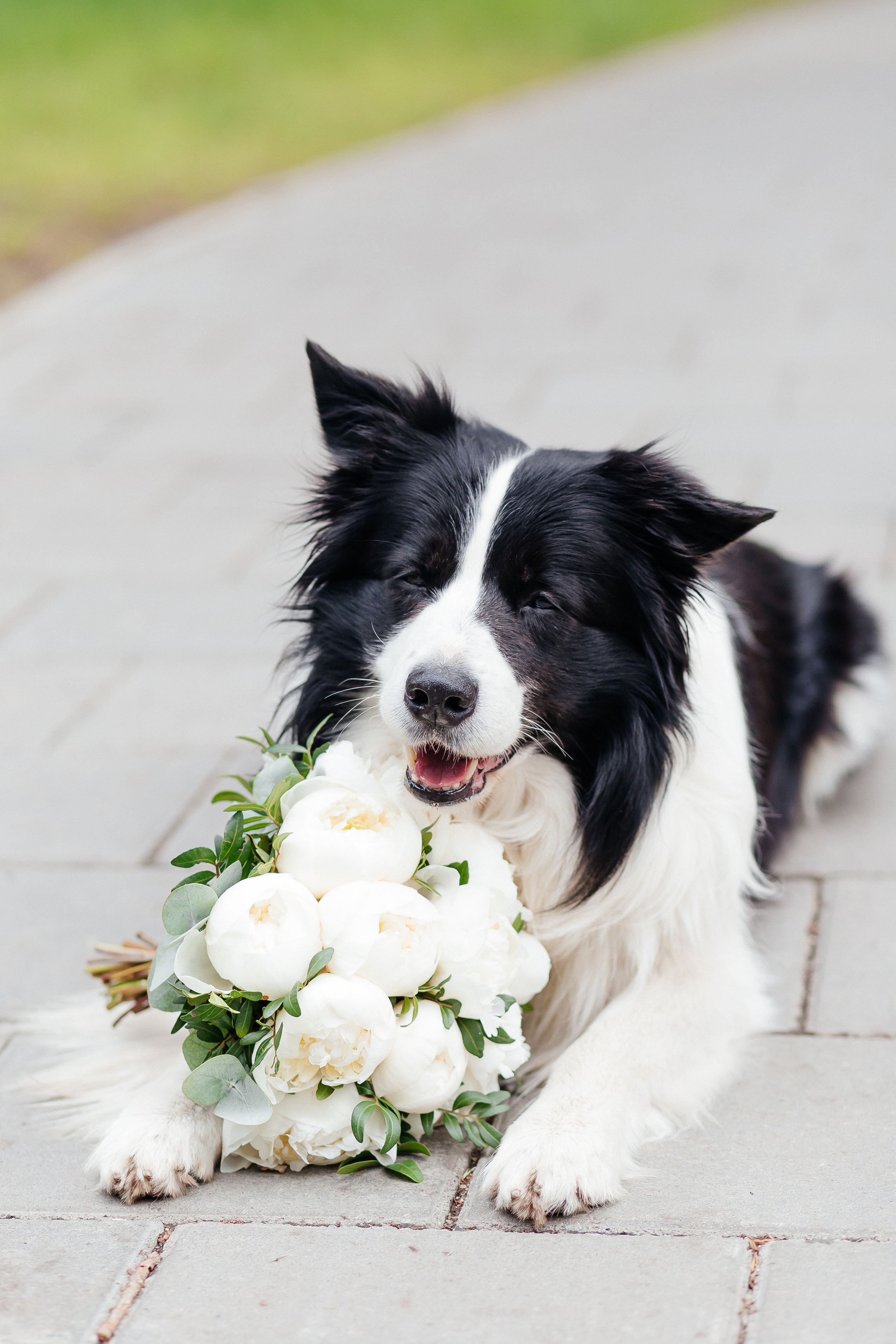 Свадьба Ивана и Дарьи. Свадебный и портретный фотограф Летавина Наталия. Екатеринбург