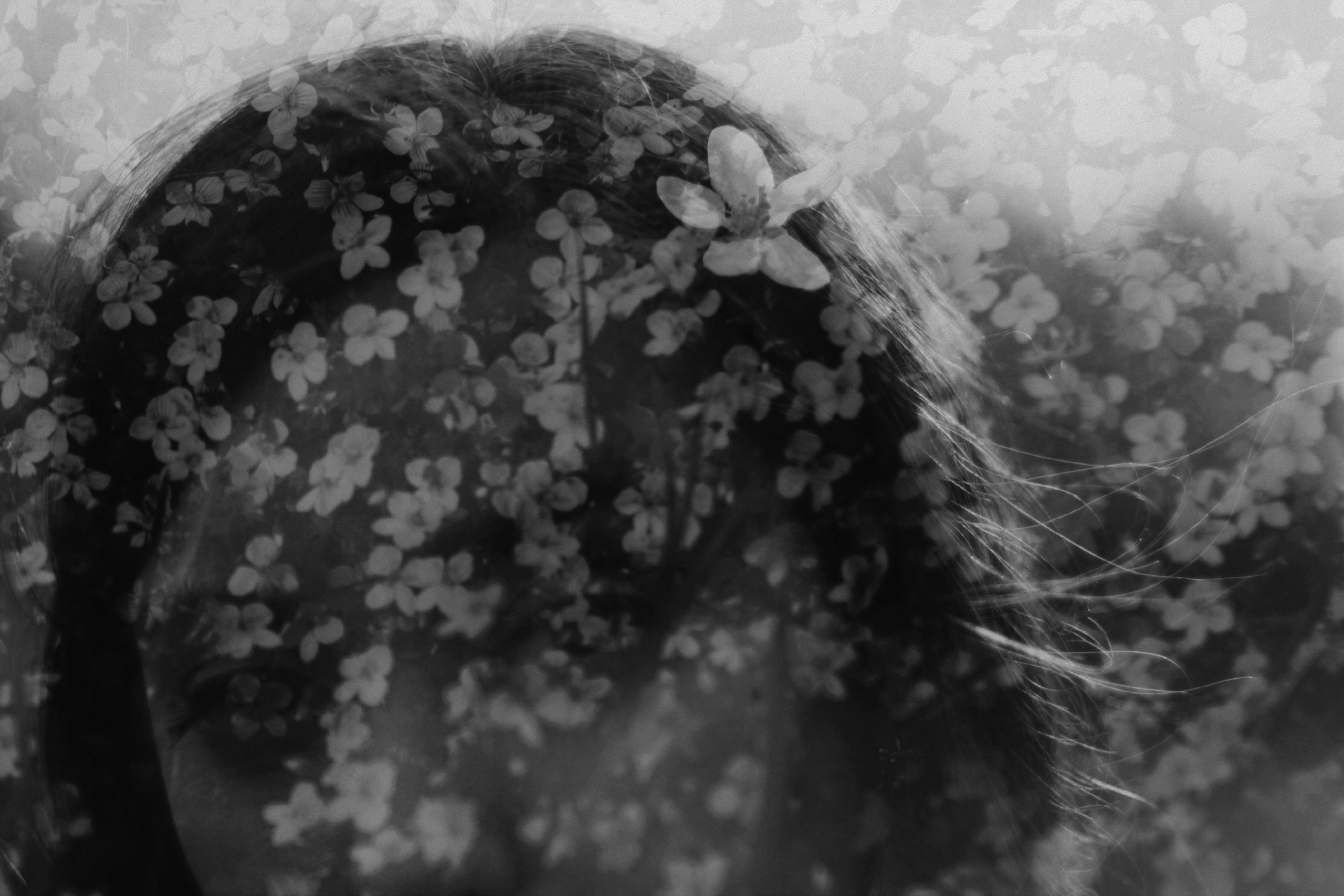 Работы. Свадебный фотограф в Москве Сафонова Анна