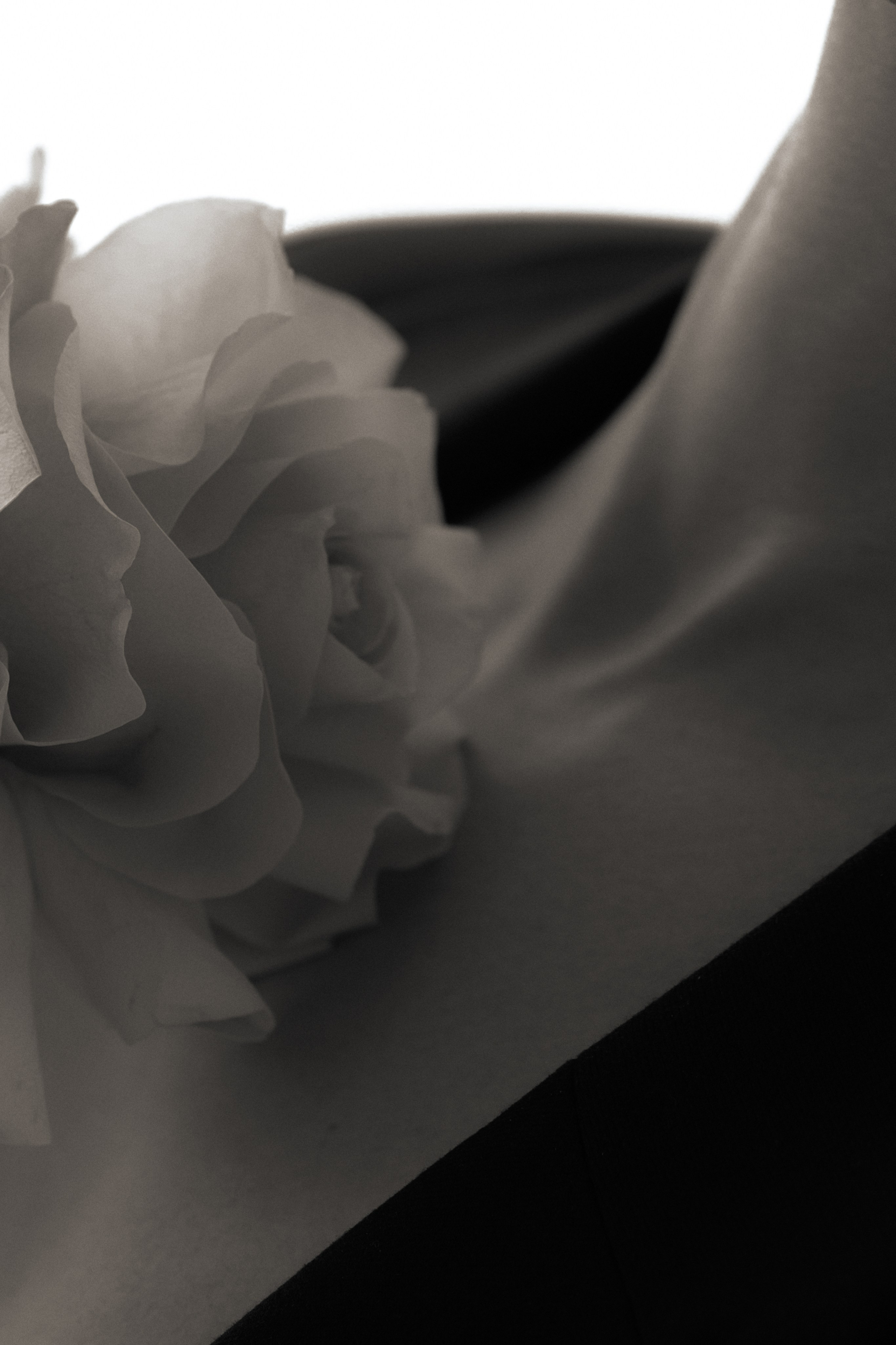 Женский портрет. Фотограф Олеся Голева