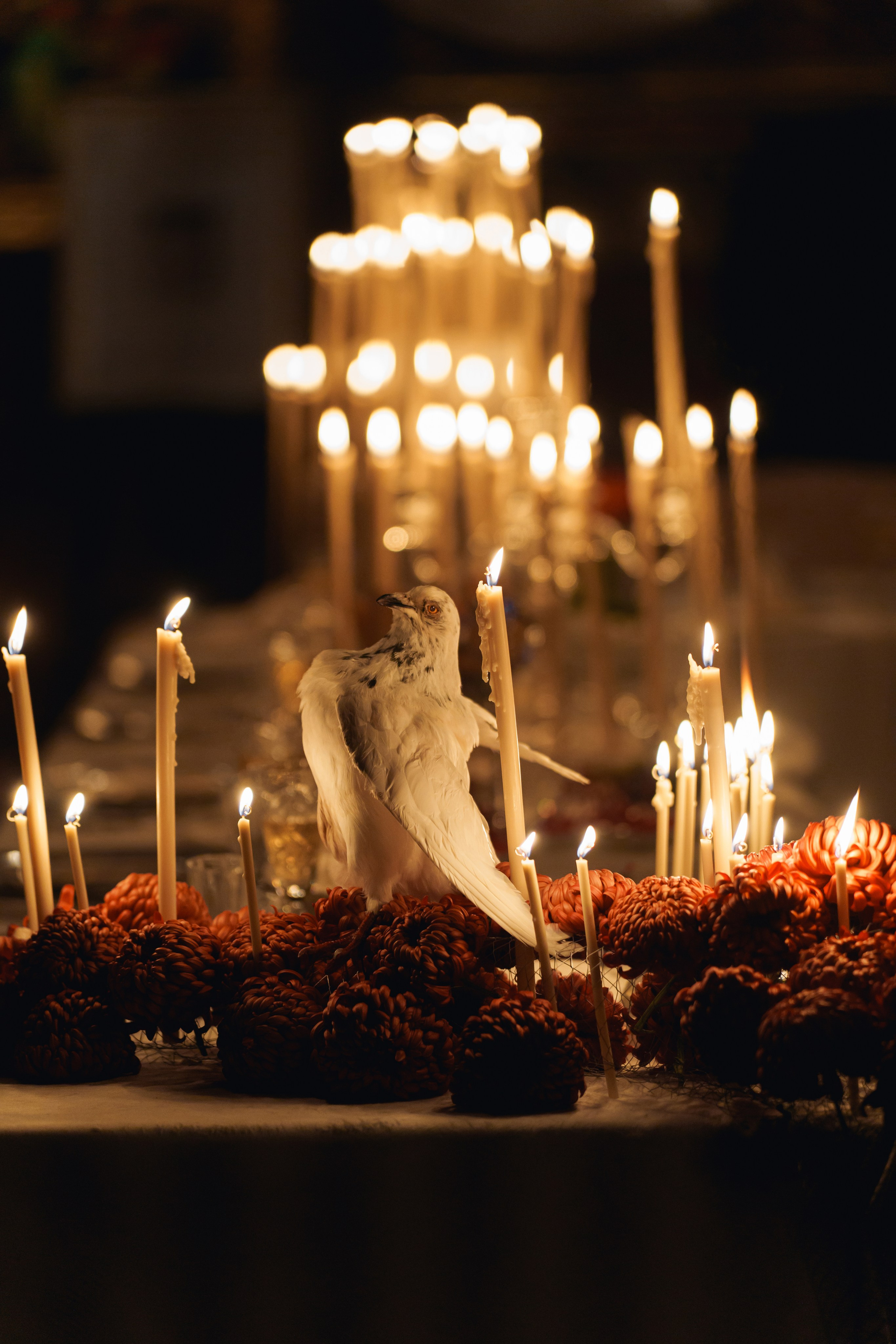 After midnight. Свадебный фотограф в Ростовe-на-Дону Анастасия Прутова