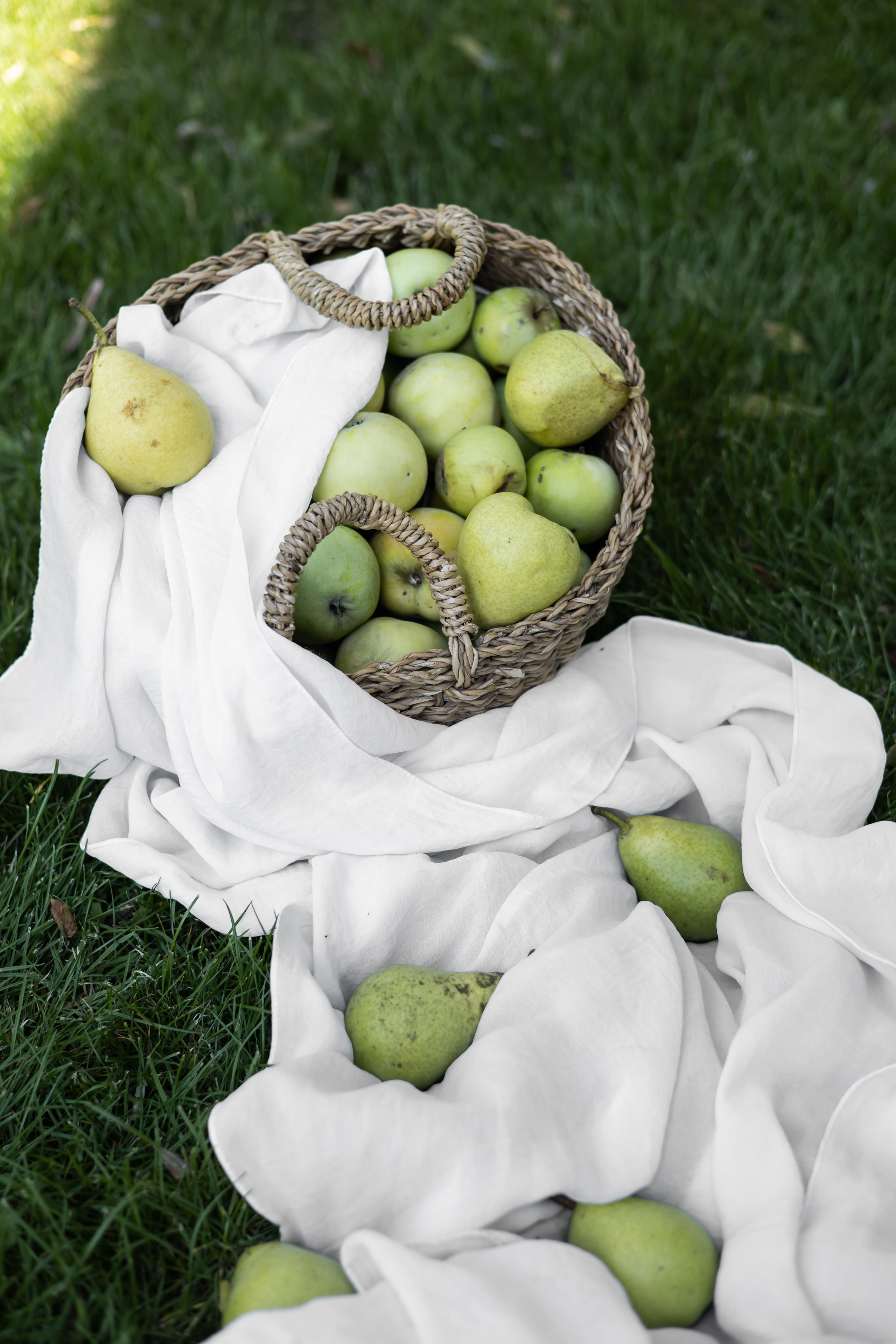 ДИНИЯ. Фотограф Элла Ефимова