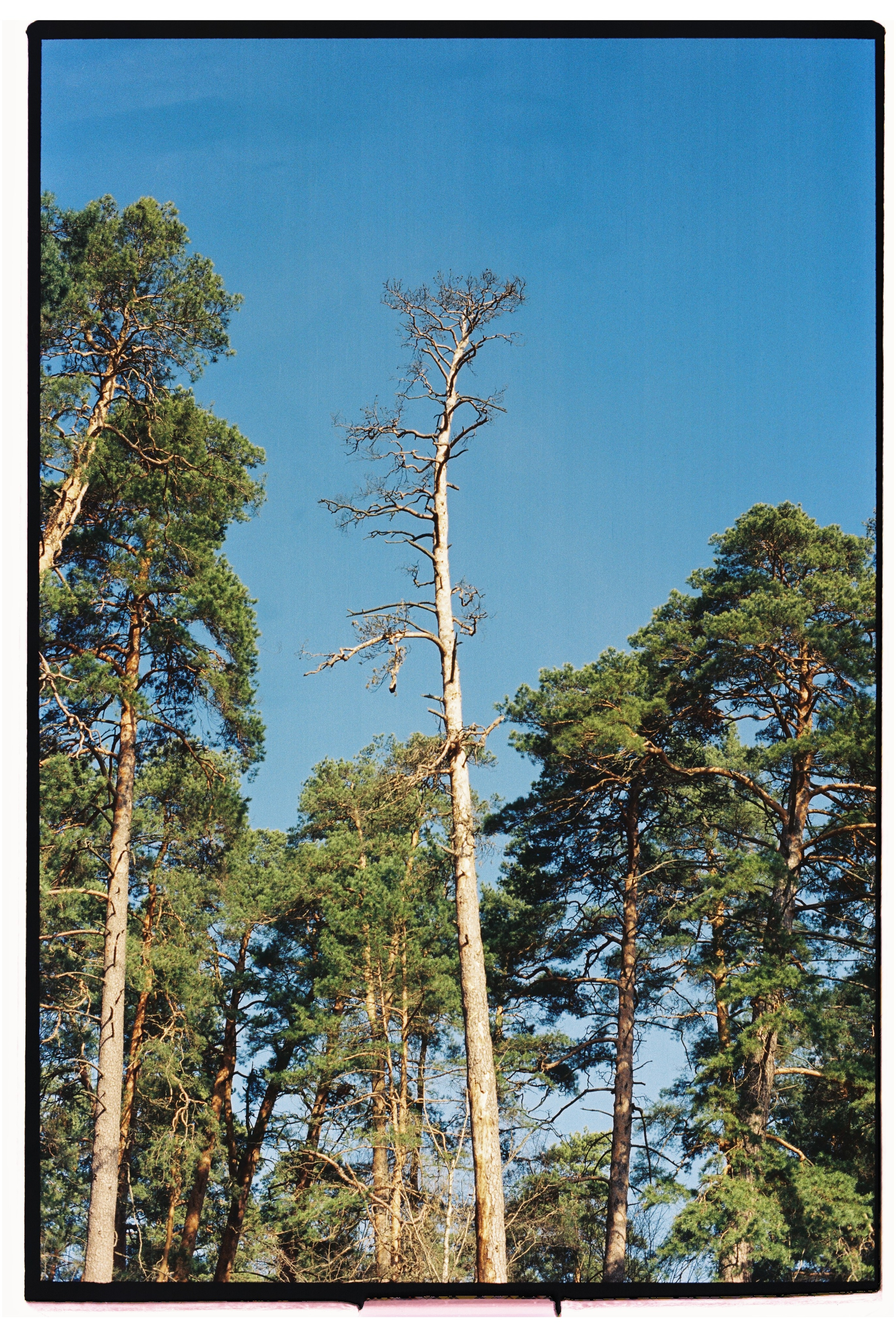 KALUGA. ANNA — PHOTOGRAPHER