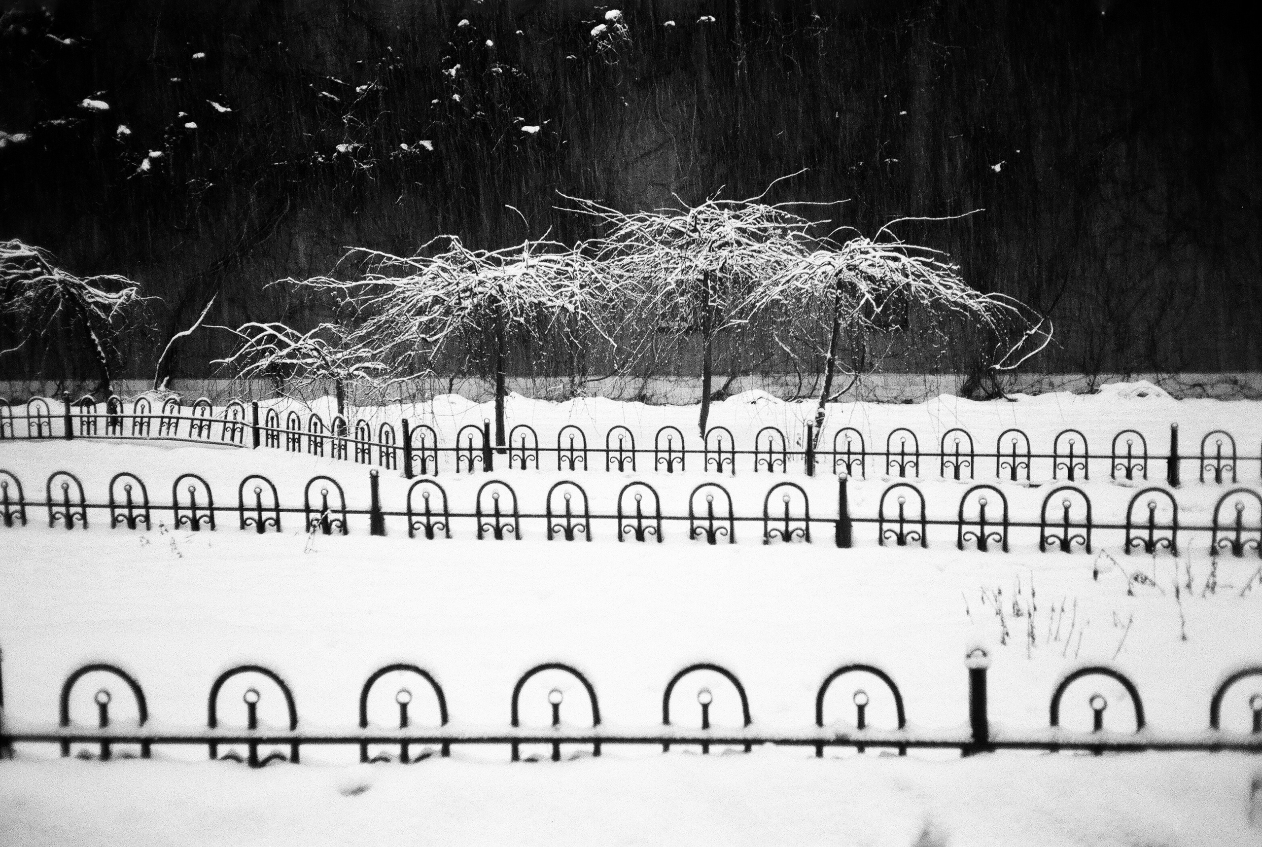 Фотографии черно-белые. Свадебный и семейный пленочный фотограф в Петербурге Истомина Ирина