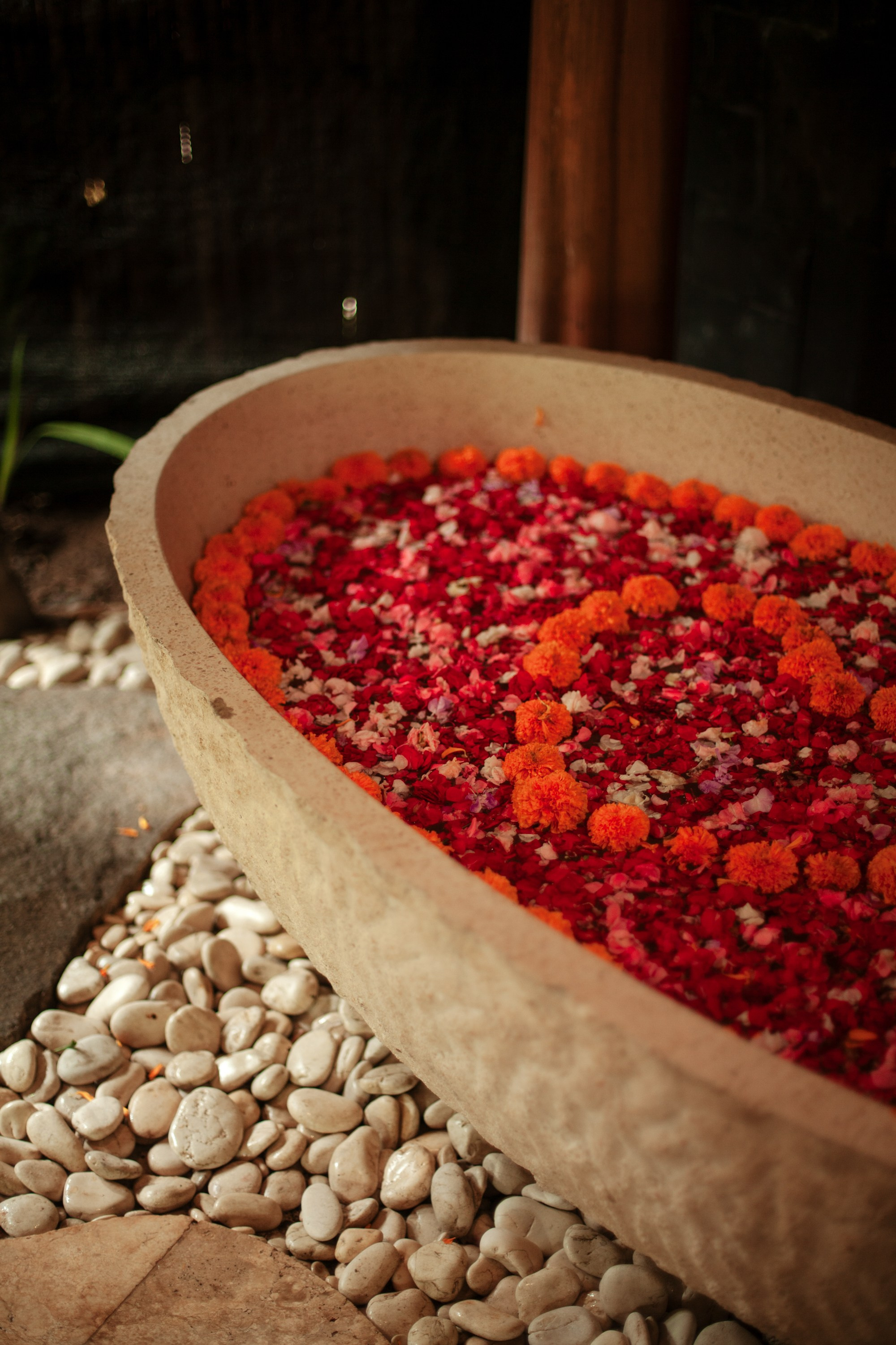 Вилла Sunrise Bali. Виолетта Скрипка