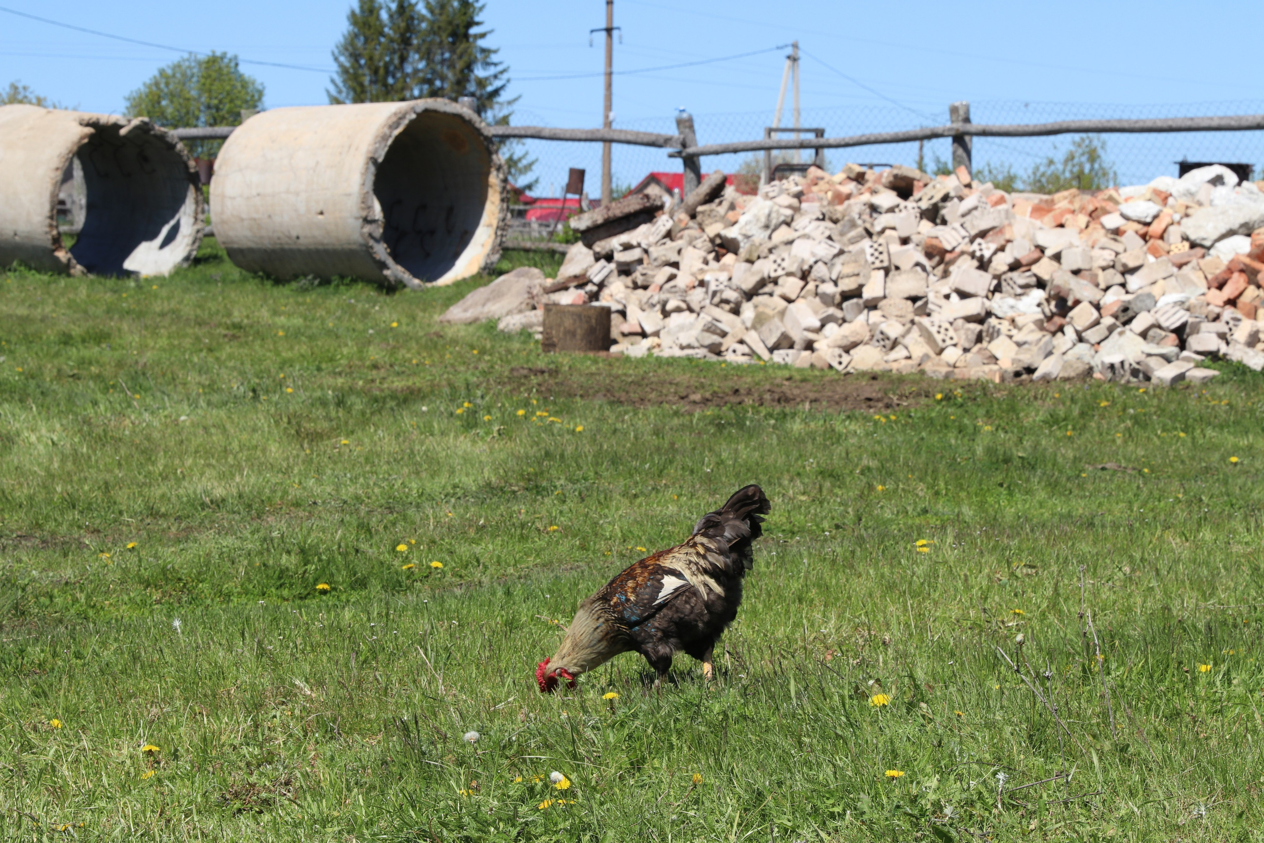 Велопоход Уфа — Мелеуз. Май 2024. Путешественник-фотограф из Санкт-Петербурга Татьяна Свистулина