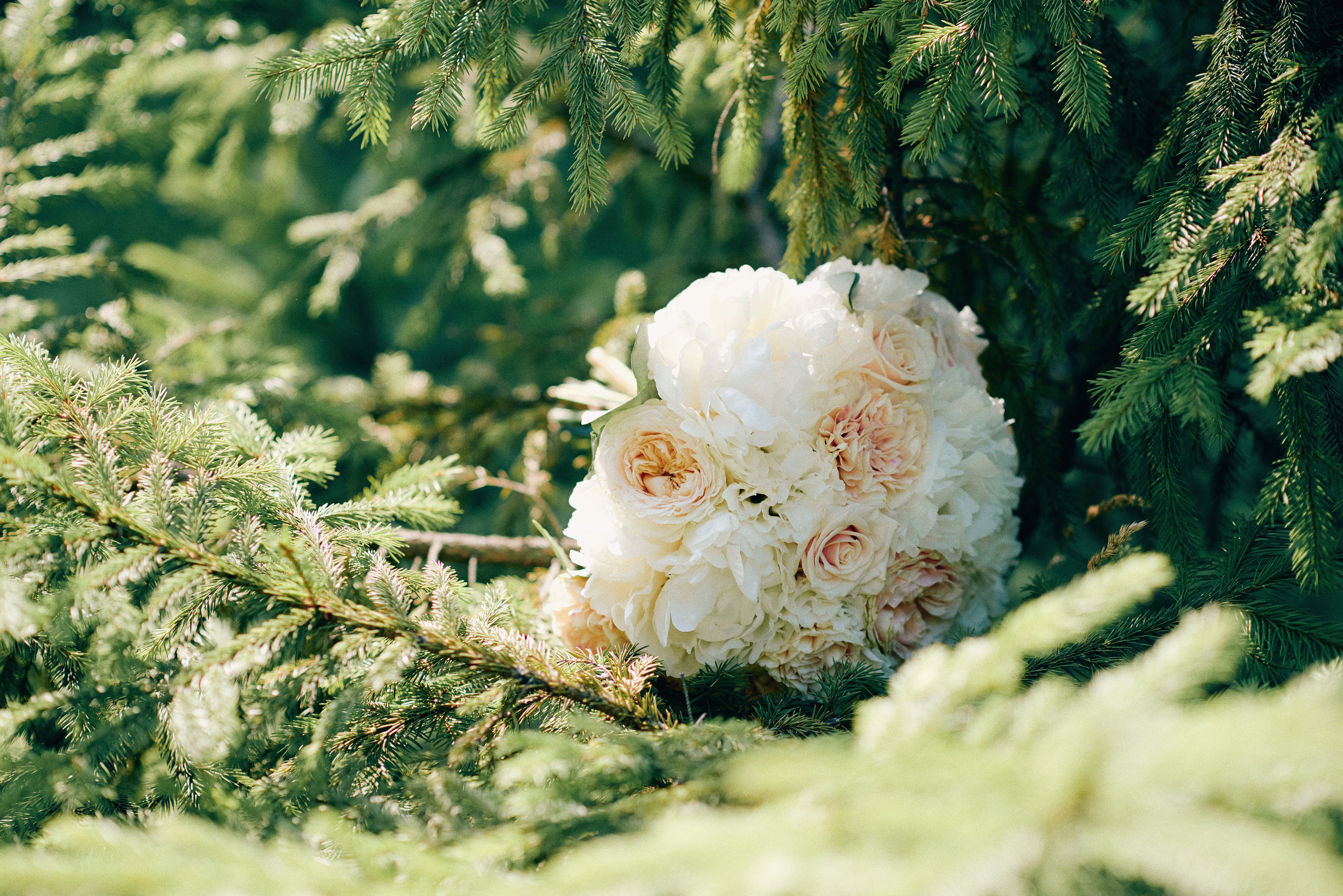 Максим и Кристина. Свадебный и семейный фотограф Тамбов