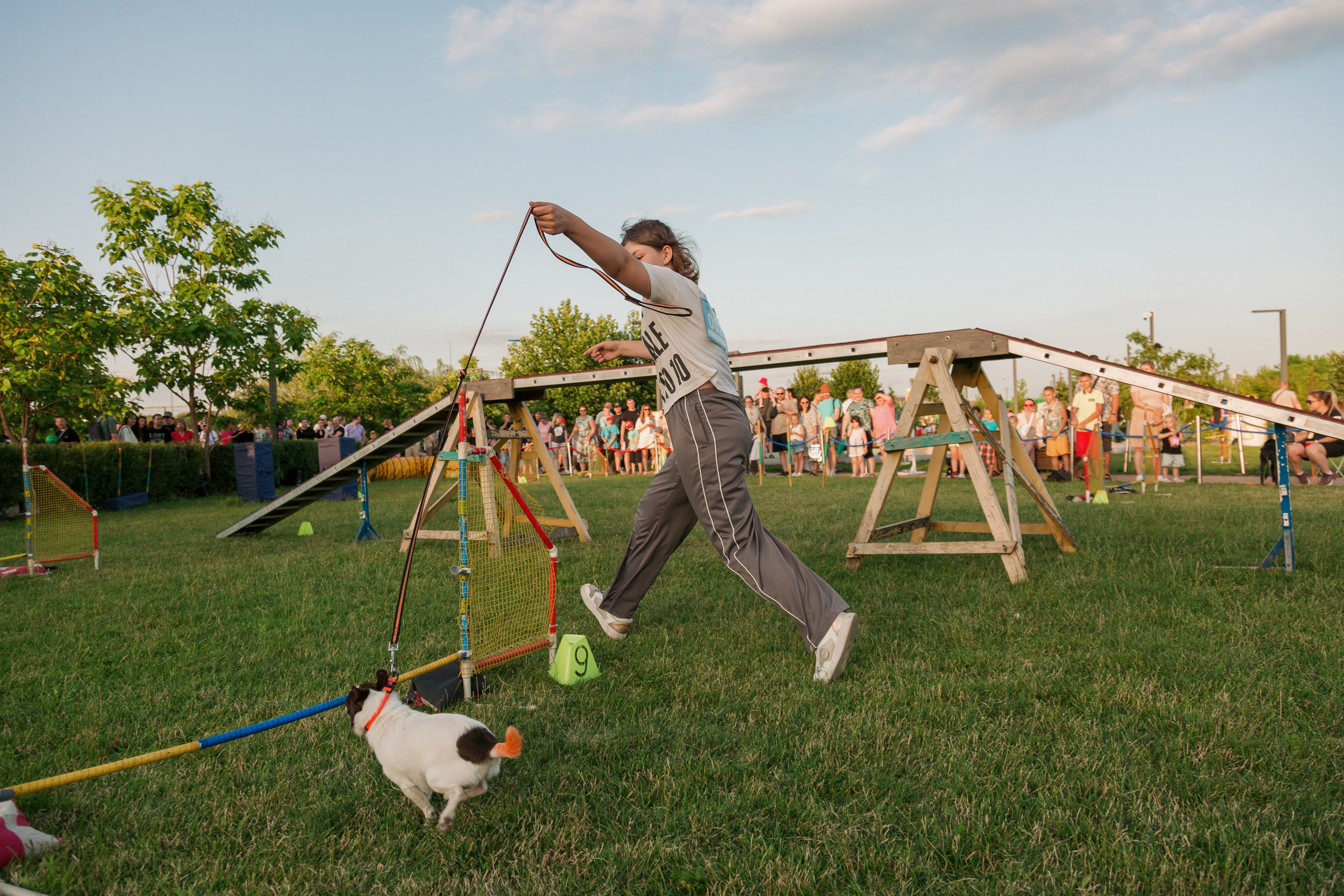 Dog Fest 2024. Главная