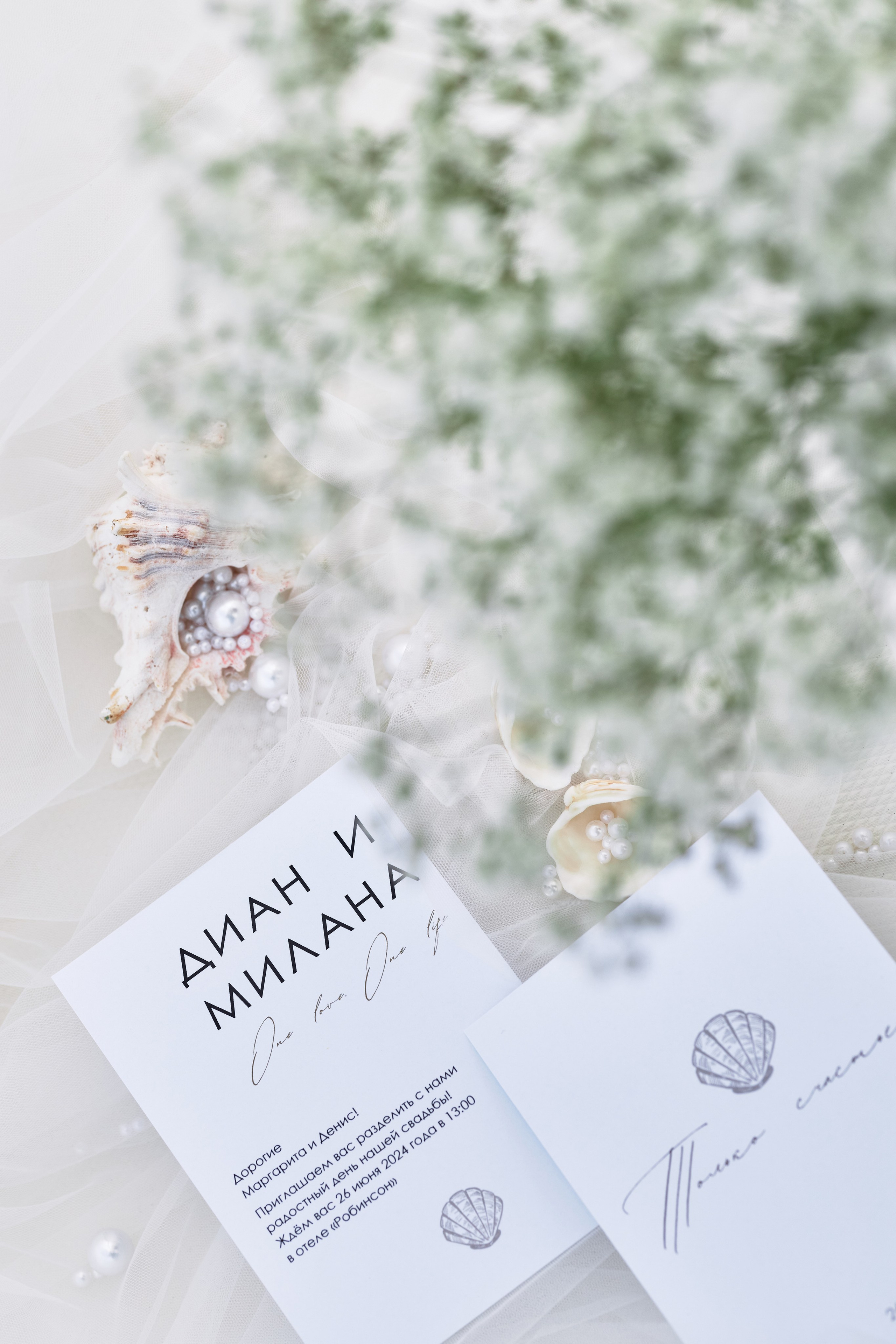 ЯХТА MADAM. Cheta Kovalevsky фотографы