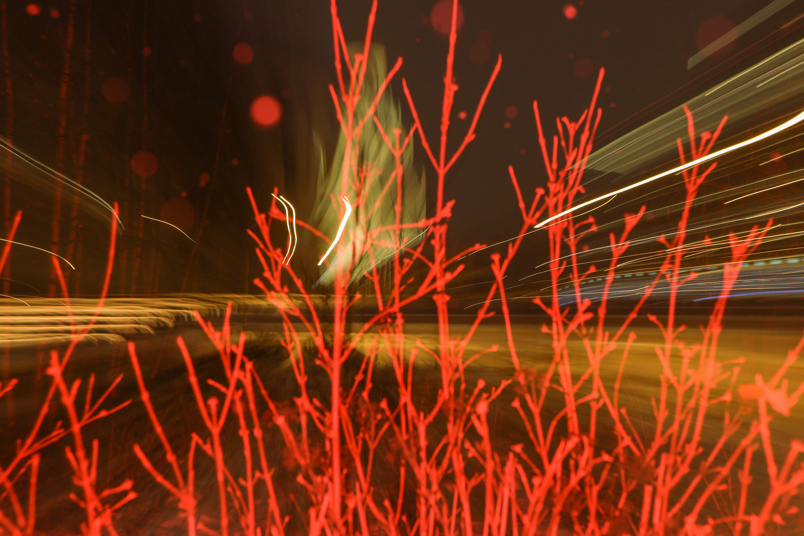 Берега памяти. Kateserbina