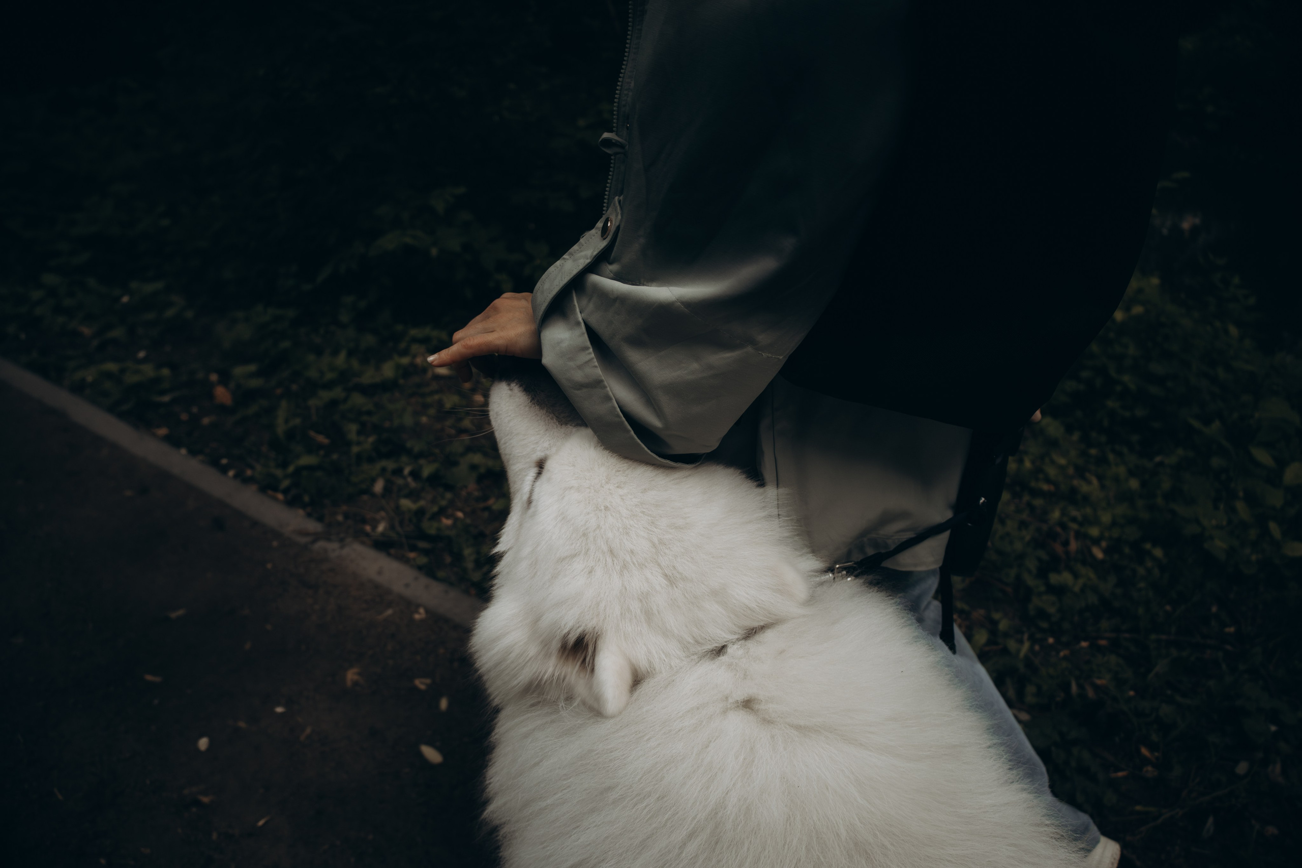 Фотосессия с ребенком и собакой в парке. Фотограф-анималист в Москве Екатерина Тихонова